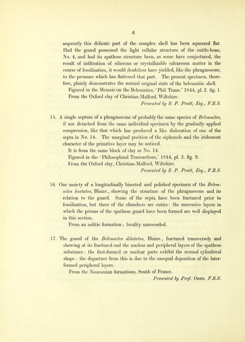 sequently this delicate part of the complex shell has been squeezed flat. Had the guard possessed the light cellular structure of the cuttle-bone. No. 4, and had its spathose structure been, as some have conjectured, the result of infiltration of siliceous or crystallizable calcareous matter in the course of fossilization, it would doubtless have yielded, like the phragmocone, to the pressiue which has flattened that part. The present specimen, there- fore, plainly demonstrates the normal original state of the belemnitic shell. Figured in the Memoir on the Belemnites,' Phil. Trans.' 1844, pi. 2. fig. 1. From the Oxford clay of Christian-Malford, Wiltshire. Presented by S. P. Pratt, Esq., F.R.S. 15. A single septum of a phragmocone of probably the same species of Belemnites, if not detached from the same individual specimen by the gradually apphed compression, like that which has produced a like dislocation of one of the septa in No. 14. The marginal position of the siphuncle and the iridescent character of the primitive layer may be noticed. It is from the same block of clay as No. 14. Figured in the 'Philosophical Transactions,' 1844, pi. 3. fig. 8. From the Oxford clay, Christian-Malford, Wiltshire. Presented hy S. P. Pratt, Esq., F.B.S. 16. One moiety of a longitudinally bisected and polished specimen of the Belem- nites hastatus, Blainv., showing the structure of the phragmocone and its relation to the guard. Some of the septa have been fractured prior to fossilization, but three of the chambers are entire: the successive layers in which the prisms of the spathose guard have been formed are well displayed in this section. From an oolitic formation ; locality unrecorded. 17. The guard of the Belemnites dilatatus, Blainv., fractured transversely and showing at its fractured end the nuclear and peripheral layers of the spathose substance; the first-formed or nuclear parts exhibit the normal cyhndrical shape : the departure from this is due to the unequal deposition of the later- formed peripheral layers. From the Neocomian formations, South of France. Presented by Prof. Owen, F.B.S.