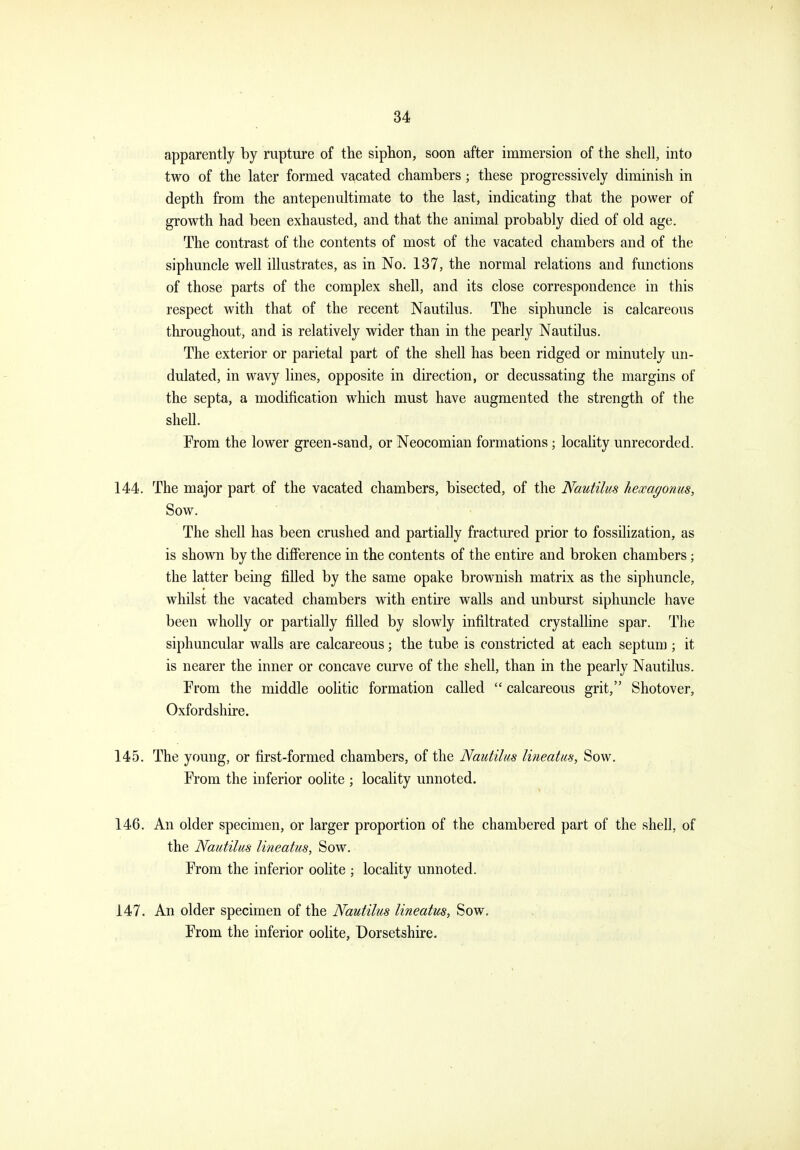 apparently by rupture of the siphon, soon after immersion of the shell, into two of the later formed vacated chambers; these progressively diminish in depth from the antepenultimate to the last, indicating that the power of growth had been exhausted, and that the animal probably died of old age. The contrast of the contents of most of the vacated chambers and of the siphuncle well illustrates, as in No. 137, the normal relations and functions of those parts of the complex shell, and its close correspondence in this respect with that of the recent Nautilus. The siphuncle is calcareous throughout, and is relatively wider than in the pearly Nautilus. The exterior or parietal part of the shell has been ridged or minutely un- dulated, in wavy lines, opposite in direction, or decussating the margins of the septa, a modification which must have augmented the strength of the shell. Prom the lower green-sand, or Neocomian formations; locality unrecorded. 144. The major part of the vacated chambers, bisected, of the Nautilus hexagonus. Sow. The shell has been crushed and partially fractm-ed prior to fossilization, as is shown by the difference in the contents of the entire and broken chambers; the latter being filled by the same opake brownish matrix as the siphuncle, whilst the vacated chambers with entire walls and unburst siphuncle have been wholly or partially filled by slowly infiltrated crystalline spar. The siphuncular walls are calcareous; the tube is constricted at each septum ; it is nearer the inner or concave curve of the shell, than in the pearly Nautilus. From the middle oolitic formation called  calcareous grit, Shotover, Oxfordshire. 145. The young, or first-formed chambers, of the Nautilus lineatus, Sow. From the inferior oolite ; locality unnoted. 146. An older specimen, or larger proportion of the chambered part of the shell, of the Nautilus lineatus, Sow. From the inferior ooHte ; locality unnoted. 147. An older specimen of the Nautilus lineatus, Sow, From the inferior oolite, Dorsetshire.