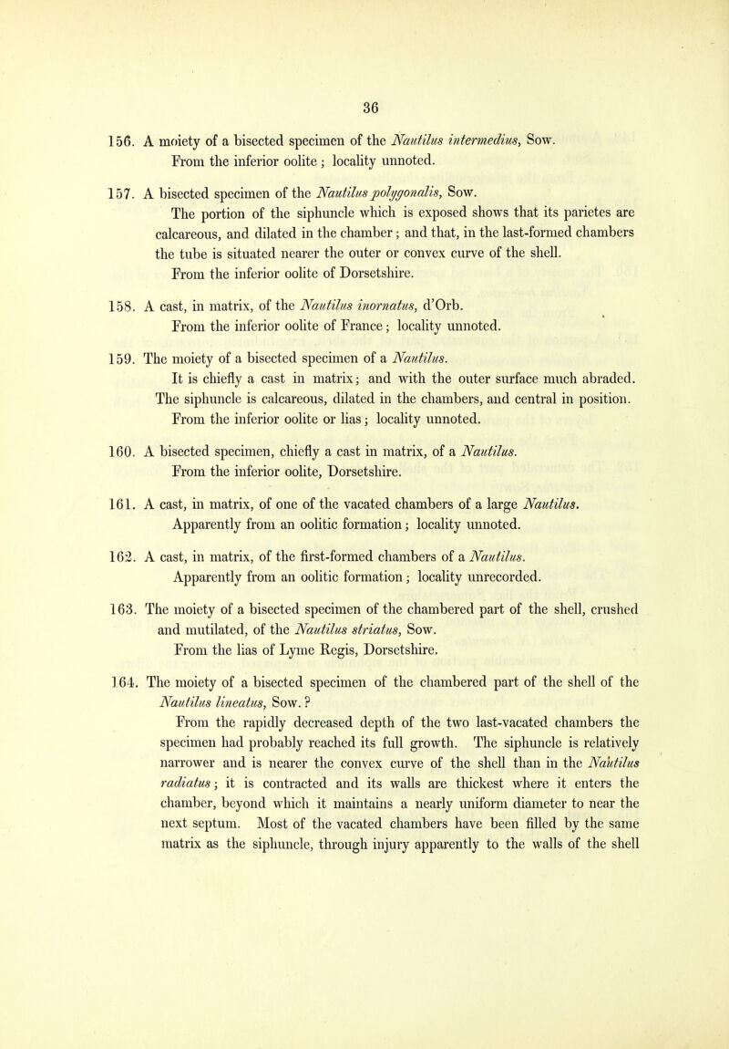 156. A moiety of a bisected specimen of the Nautilus intermedins, Sow. From the inferior oolite ; locaHty unnoted. 157. A bisected specimen of the Nautilus polygonalis, Sow. The portion of the siphuncle which is exposed shows that its parietes are calcareous, and dilated in the chamber; and that, in the last-formed chambers the tube is situated nearer the outer or convex curve of the shell. From the inferior oolite of Dorsetshire. 158. A cast, in matrix, of the Nautilus inornatus, d'Orb. From the inferior oolite of France; locality unnoted. 159. The moiety of a bisected specimen of a Nautilus. It is chiefly a cast in matrix; and with the outer surface much abraded. The siphuncle is calcareous, dilated in the chambers, and central in position. From the inferior oolite or lias; locality unnoted. 160. A bisected specimen, chiefly a cast in matrix, of a Nautilus. From the inferior oolite, Dorsetshire. 161. A cast, in matrix, of one of the vacated chambers of a large Nautilus. Apparently from an oolitic formation; locality unnoted. 163. A cast, in matrix, of the first-formed chambers of a Nautilus. Apparently from an oolitic formation; locality unrecorded. 163. The moiety of a bisected specimen of the chambered part of the shell, crushed and mutilated, of the Nautilus striatus, Sow. From the lias of Lyme Regis, Dorsetshire. 164. The moiety of a bisected specimen of the chambered part of the shell of the Nautilus lineatus. Sow. ? From the rapidly decreased depth of the two last-vacated chambers the specimen had probably reached its full growth. The siphuncle is relatively narrower and is nearer the convex curve of the shell than in the Nautilus radiatus; it is contracted and its walls are thickest where it enters the chamber, beyond which it maintains a nearly uniform diameter to near the next septum. Most of the vacated chambers have been filled by the same matrix as the siphuncle, through injury apparently to the walls of the shell