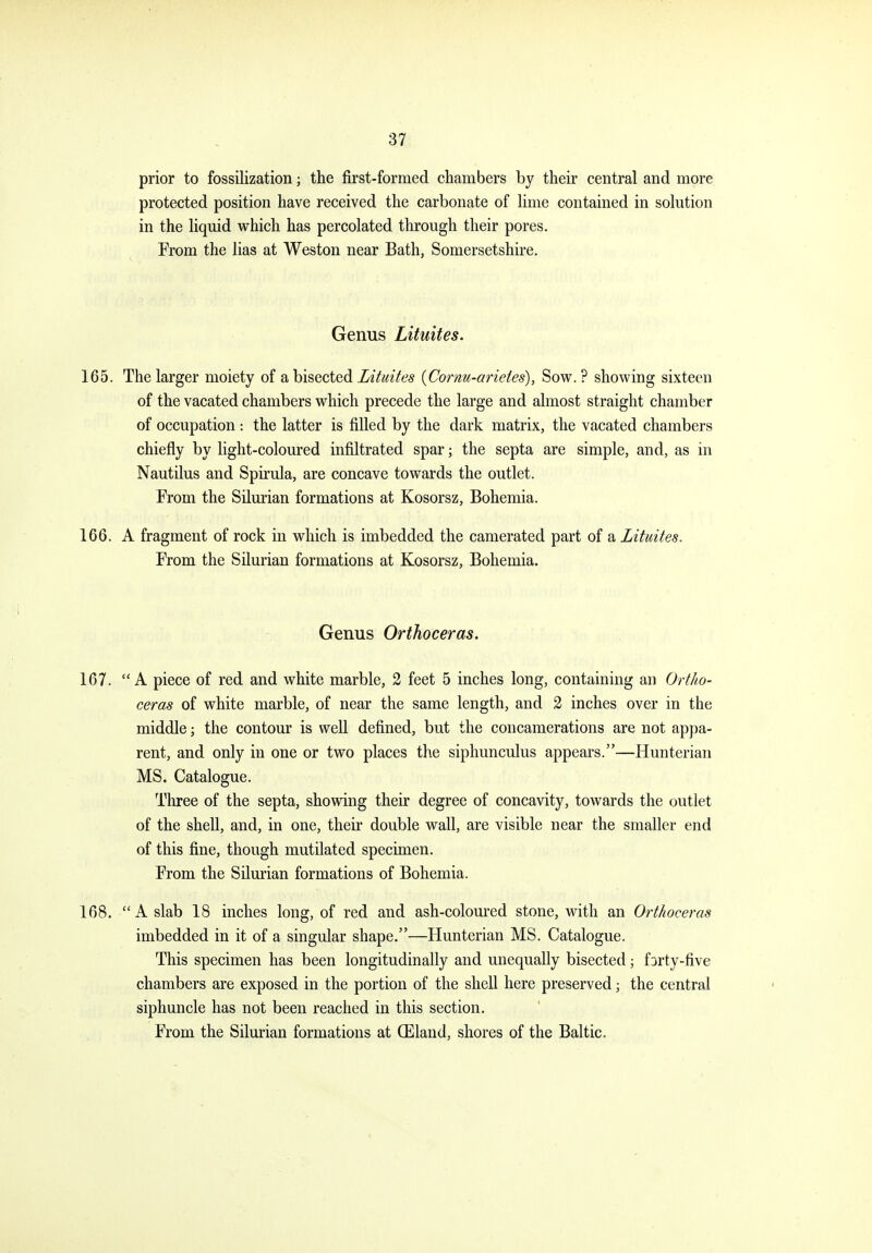prior to fossilization; the first-formed chambers by their central and more protected position have received the carbonate of Kme contained in sohition in the hquid which has percolated through their pores. From the lias at Weston near Bath, Somersetshire. Genus Lituites. 165. The larger moiety a, bisected Zituites [Corm-arietes), Sow.? showing sixteen of the vacated chambers which precede the large and almost straight chamber of occupation : the latter is filled by the dark matrix, the vacated chambers chiefly by light-coloured infiltrated spar; the septa are simple, and, as in Nautilus and Spirula, are concave towards the outlet. From the Silurian formations at Kosorsz, Bohemia. 166. A fragment of rock in which is imbedded the camerated part of a Lituites. From the Silurian formations at Kosorsz, Bohemia. Genus Orthoceras. 167. A piece of red and white marble, 2 feet 5 inches long, containing an Ortho- ceras of white marble, of near the same length, and 2 inches over in the middle; the contour is well defined, but the concamerations are not ap})a- rent, and only in one or two places the siphunculus appears.—Hunterian MS. Catalogue. Three of the septa, showing their degree of concavity, towards the outlet of the shell, and, in one, their double wall, are visible near the smaller end of this fine, though mutilated specimen. From the Silurian formations of Bohemia. 168. A slab 18 inches long, of red and ash-coloured stone, with an Orthoceras imbedded in it of a singular shape.—Hunterian MS. Catalogue. This specimen has been longitudinally and unequally bisected; f jrty-five chambers are exposed in the portion of the shell here preserved; the central siphuncle has not been reached in this section. From the Silurian formations at (Eland, shores of the Baltic.
