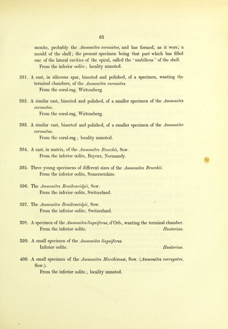 monite, probably the Ammonites coronatus, and has formed, as it were, a mould of the shell; the present specimen being that part which has filled one of the lateral cavities of the spiral, called the ' umbilicus ' of the shell. From the inferior oolite; locality unnoted. 391. A cast, in sihceous spar, bisected and polished, of a specimen, wanting the terminal chambers, of the Ammonites coronatus. From the coral-rag, Wirtemberg. 392. A similar cast, bisected and polished, of a smaller specimen of the Ammonites coronatus. From the coral-rag, Wirtemberg. 393. A similar cast, bisected and polished, of a smaller specimen of the Ammonites coronatus. From the coral-rag ; locality unnoted. 394. A cast, in matrix, of the Ammonites Brocchii, Sow. From the inferior oolite, Bayeux, Normandy. 395. Three young specimens of different sizes of the Ammonites Brocchii. From the inferior oolite, Somersetshire. 396. The Ammonites Braihenridgii, Sow. From the inferior oolite, Switzerland. 397. The Ammonites Braihenridgii, Sow. From the inferior oolite, Switzerland. 398. A specimen of the Ammonites linguiferus, d'Orb., wanting the terminal chamber. From the inferior oolite. Hunterian. 399. A small specimen of the Ammonites linguiferus. Inferior oolite. Hunterian. 400. A small specimen of the Ammonites Murchisonm, Sow. {Ammonites corrugatus, Sow.). From the inferior oolite; locahty unnoted.