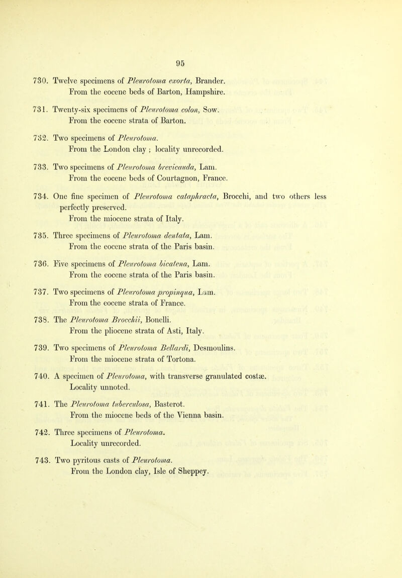 730. Twelve specimens of Pleurotoma exorta, Brander. From the eocene beds of Barton, Hampshire. 731. Twenty-six specimens oi Pleurotoma colon, Sow. From the eocene strata of Barton. 732. Two specimens of Pleurotoma. Fiom the London clay ; locality unrecorded. 733. Two specimens oi Pleurotoma brevicauda, Lam. From the eocene beds of Courtagnon, France. 734. One fine specimen of Pleurotoma cataphracta, Brocchi, and two others less perfectly preserved. From the miocene strata of Italy. 735. Three specimens of Pleurotoma dentata. Lam. From the eocene strata of the Paris basin. 736. Five specimens oi Pleurotoma bicatena, Lam. From the eocene strata of the Paris basin. 737. Two specimens oi Pleurotomapropinqua, Lam. From the eocene strata of France. 738. The Pleurotoma Brocchii, Bonelli. From the pliocene strata of Asti, Italy. 739. Two specimens oi Pleurotoma Bellardi, Desmoulins. From the miocene strata of Tortona. 740. A specimen of Pleurotoma, with transverse granulated costae. Locality unnoted. 741. The Pleurotoma tuberculosa, Basterot. From the miocene beds of the Vienna basin. 743. Three specimens of Pleurotoma. Locality unrecorded. 743. Two pyritous casts of Pleurotoma. From the London clay, Isle of Sheppey.