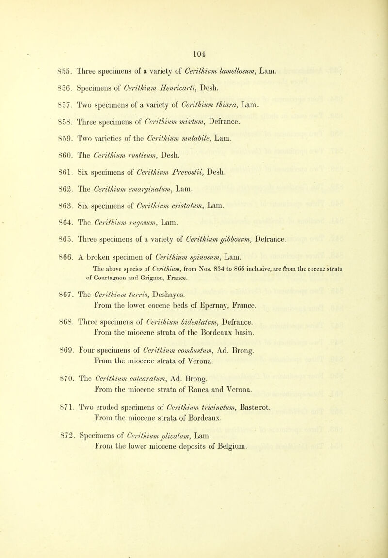 855. Three specimens of a variety of Cerithium lamellosum, Lam. 856. Specimens of Cerithium Henricarti, Desh, 857. Two specimens of a variety of Cerithium thiara, Lam. 858. Three specimens of Cerithium mixtum, Defrance. 859. Two varieties of the Cerithium mutabile, Lam. 8G0. The Cerithium rusticmn, Desh. 861. Six specimens of Cerithium Prevostii, Desh. 862. The Cerithium emarginatum. Lam. 863. Six specimens of Cerithium cristatum. Lam. 864. The CeritMum rugosmn, Lam. 865. Three specimens of a variety of Cerithium gihbosum, Defrance. 866. A broken specimen of Cerithium spinosum. Lam. The above species of Cerithium, from Nos. 834 to 866 inclusive, are IVom the eocene strata of Courtagnon and Grignon, France. 867. The Cerithium turris, Deshayes. From the lower eocene beds of Epernay, France. 868. Three specimens of Cerithitim bidentatum, Defrance. From the miocene strata of the Bordeaux basin. 869. Four specimens of Cerithium combustum. Ad. Brong. From the miocene strata of Verona. 870. The Cerithium- calcaratum. Ad. Brong. From the miocene strata of Ronca and Verona. 871. Two eroded specimens of Cerithium tricinctum, Baste rot. From the miocene strata of Bordeaux. 872. Specimens of CerithiumpUcatum, Lam. From the lower miocene deposits of Belgium.