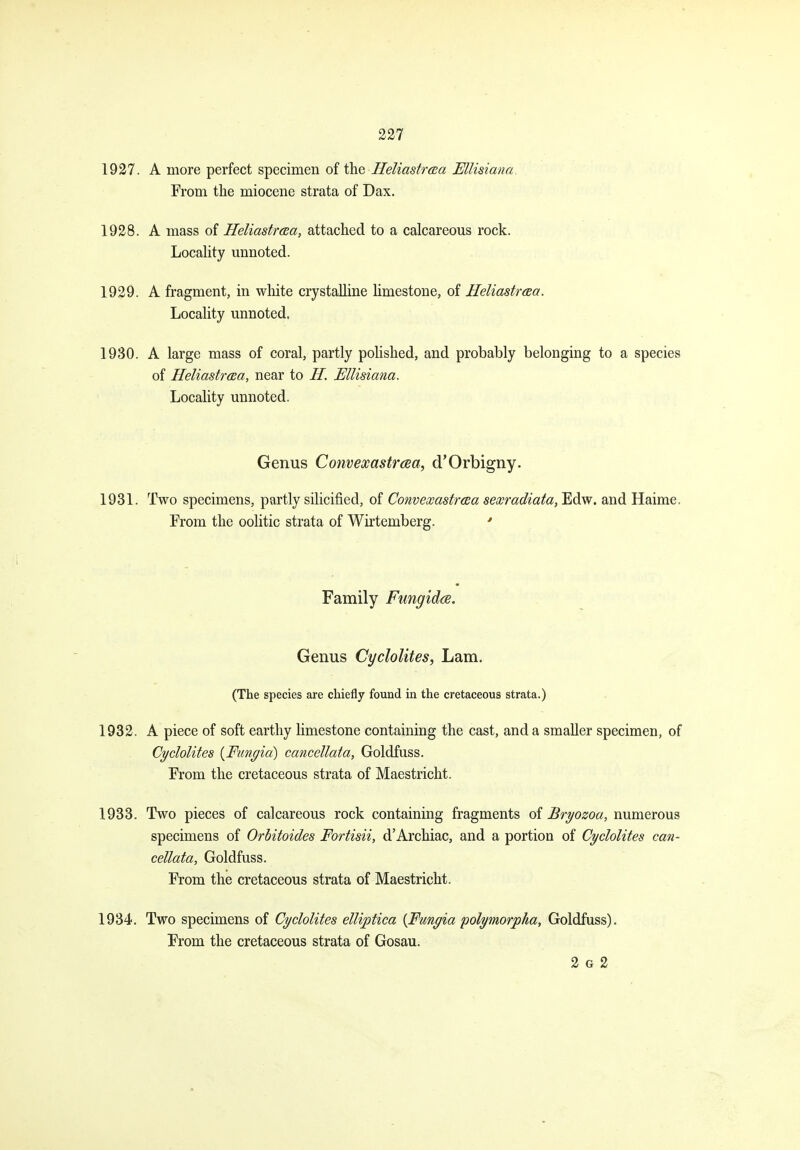 1927. A more perfect specimen of the HeliastrcBa EUisiana. From the miocene strata of Dax. 1928. A mass of Heliastma, attached to a calcareous rock. LocaKty unnoted. 1929. A fragment, in white crystalline hmestone, of Heliastraza. Locality unnoted. 1930. A large mass of coral, partly polished, and probably belonging to a species of Heliastraa, near to II. EUisiana. Locality unnoted. Genus Convexastrcea, d'Orbigny. 1931. Two specimens, partly silicified, of ConvexastrcBa sexradiata, Edw. and Haime, From the oolitic strata of Wirtemberg. ' Family Fungidce. Genus Cyclolites, Lam. (The species are chiefly found in the cretaceous strata.) 1932. A piece of soft earthy limestone containing the cast, and a smaller specimen, of Cyclolites {JFungid) cancellata, Goldfuss. From the cretaceous strata of Maestricht. 1933. Two pieces of calcareous rock containing fragments of Bryozoa, numerous specimens of Orbitoides Fortisii, d'Archiac, and a portion of Cyclolites can- cellata, Goldfuss. From the cretaceous strata of Maestricht. 1934. Two specimens of Cyclolites elliptica {Fmyia polymorpha, Goldfuss). From the cretaceous strata of Gosau. 2 G 2