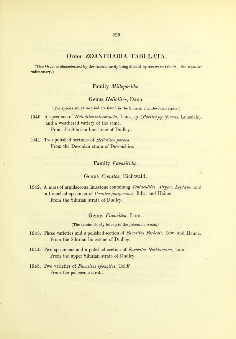 Order ZOANTHARIA TABULATA. (This Order is characterized by the visceral cavity being divided by transverse tabulae ; the septa are rudimentary.) Family Milleporidce. Genus Heliolites, Dana. (The species are extinct and are found in the Silurian and Devonian strata.) 1940. A specimen of Heliolites inierstincta, Linn., sp. {Foritespyriformis, Lonsdale), and a weathered variety of the same. Prom the Silurian limestone of Dudley. 1941. Two polished sections of Heliolites porosa. From the Devonian strata of Devonshire. Family Favositidcs. Genus Ccenites, Eichwald. 1942. A mass of argillaceous limestone containing Tentaculites, Atrypa, Leptcena, and a branched specimen of Ccenites jmiperinus, Edw. and Haime. From the Silurian strata of Dudley. Genus Favosites, Lam. (The species chiefly belong to the palaeozoic strata.) 1943. Three varieties and a polished section of Favosites Forbesii, Edw. and Haime, From the Silurian limestone of Dudley. 1944. Two specimens and a polished section of Favosites Gothlandica, Lam. From the upper Silurian strata of Dudley. 1945. Two varieties of Favosites spongites, Goldf. From the palaeozoic strata.
