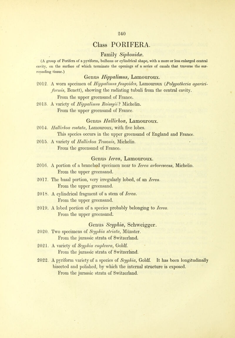 Class PORIFERA. Family Siphonidce. (A group of Porifera of a pyriform, bulbous oi* cylindrical shape, with a more or less enlarged central cavity, on the surface of which terminate the openings of a series of canals that traverse the sur- rounding tissue.) Genus Hippalimus, Lamouroux. 2012. A worn specimen of Hippalimus fungoides, Lamouroux {Folypothecia agarici- formis, Benett), showing the radiating tubuli from the central cavity. From the upper greensand of France. 2013. A variety of Hippalimus Hoissyii'^ Michehn. From the upper greensand of France. Genus Hallirhoa, Lamouroux. 2014. Hallirhoa costata, Lamouroux, with five lobes. This species occurs in the upper greensand of England and France. 2015. k oi HallirJioa Tessoni8,W\ch.QY\\i. From the greensand of France. Genus lerea, Lamouroux. 2016. A portion of a branched specimen near to lerea arboreseens, Michelin. From the upper greensand. 2017. The basal portion, very irregularly lobed, of an lerea. From the upper greensand. 2018. A cylindrical fragment of a stem of lerea. From the upper greensand. 2019. A lobed portion of a species probably belonging to lerea. From the upper greensand. Genus Scyphia, Schweigger. 2020. Two specimens of Scypliia striata, Miinster. From the Jurassic strata of Switzerland. 2021. A variety of Scyphia empleura, Goldf. From the Jurassic strata of Switzerland. 2022. A pyriform variety of a species of Scyphia, Goldf. It has been longitudinally bisected and polished, by which the internal structure is exposed. From the Jurassic strata of Switzerland.