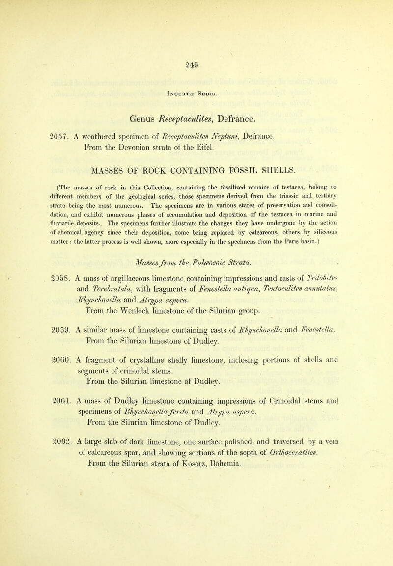 iNCERTiE SeDTS. Genus Receptaculites, Defrance. 2057. A weathered specimen of Receptaculites Neptuni, Defrance. From the Devonian strata of the Eifel. MASSES OF ROCK CONTAINING FOSSIL SHELLS. (The masses of rock in this Collection, containing the fossilized remains of testacea, belong to different members of the geological series, those specimens derived from the triassic and tertiary strata being the most numerous. The specimens are in various states of preservation and consoli- dation, and exhibit numerous phases of accumulation and deposition of the testacea in marine and fluviatile deposits. The specimens further illustrate the changes they have undergone by the action of chemical agency since their deposition, some being replaced by calcareous, others by siliceous matter: the latter process is well shown, more especially in the specimens from the Paris basin.) Masses froin the Falceozoic Strata. 2058. A mass of argillaceous limestone containing impressions and casts of TnJobit.es and Terehratula, with fragments of Fenestella antiqua, Tentaculites anmlatus, RhyncJmiella and Atrypa aspera. From the Wenlock lunestone of the Silurian group. 2059. A similar mass of limestone containing casts of Rliynclionella and Fenestella. From the Silurian limestone of Dudley. 2060. A fragment of crystalline sheUy limestone, inclosing portions of shells and segments of crinoidal stems. From the Silurian limestone of Dudley. 2061. A mass of Dudley limestone containing impressions of Crinoidal stems and specimens of Ftliynchonella ferita and Atrypa aspera. From the Silurian limestone of Dudley. 2062. A large slab of dark limestone, one surface polished, and traversed by a vem of calcareous spar, and showing sections of the septa of Orthoceratites. From the Silurian strata of Kosorz, Bohemia.