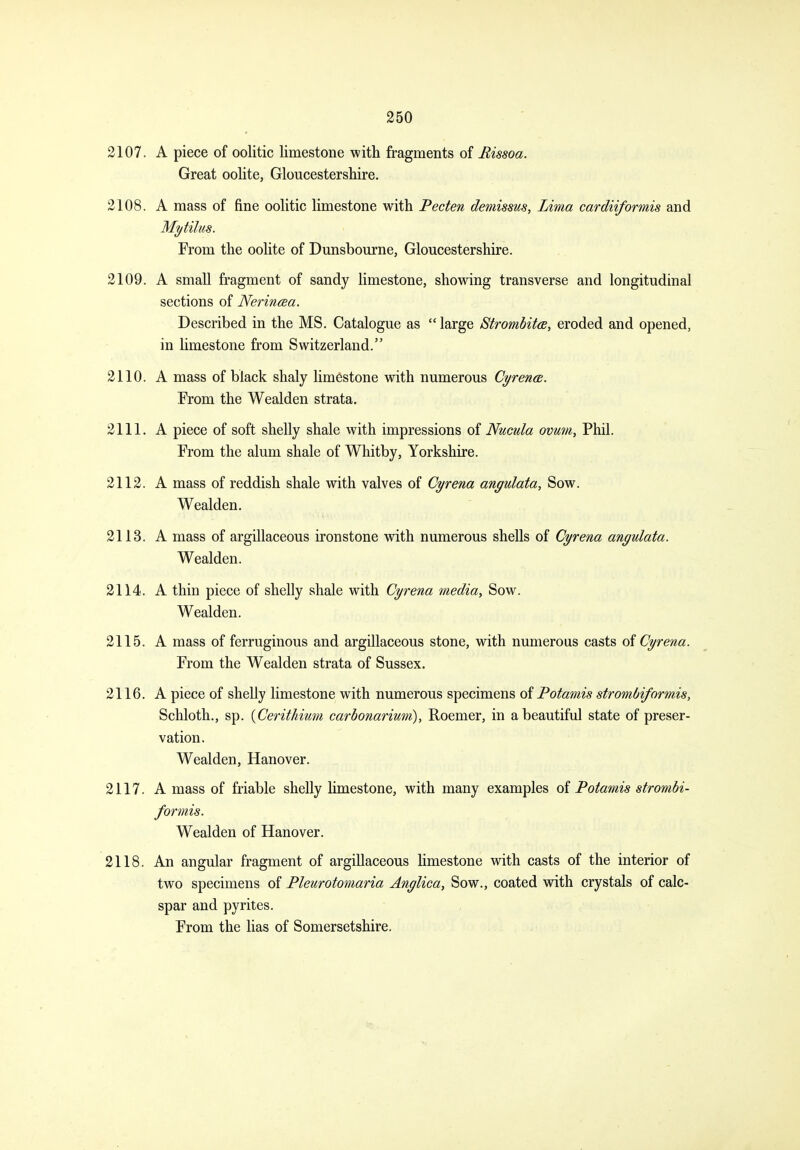 2107. A piece of oolitic limestone with fragments of Bissoa. Great oolite, Gloucestershire. 2108. A mass of fine oolitic limestone with Peden demissus, Lima cardiiformis and Mytilus. From the oolite of Dunsbourne, Gloucestershire. 2109. A small fragment of sandy limestone, showing transverse and longitudinal sections of Nerincea. Described in the MS. Catalogue as  large StrombitcB, eroded and opened, in limestone from Switzerland. 2110. A mass of black shaly limestone with numerous CyrencB. From the Wealden strata. 2111. A piece of soft shelly shale with impressions of Nucula omin, Phil. From the alum shale of Whitby, Yorkshire. 2112. A mass of reddish shale with valves of Cyrena angulata. Sow. Wealden. 2113. A mass of argillaceous ironstone with numerous shells of Cyrena angulata. Wealden. 2114. A thin piece of shelly shale with Cyrena media. Sow. Wealden. 2115. A mass of ferruginous and argillaceous stone, with numerous casts of Cyrena. From the Wealden strata of Sussex. 2116. A piece of shelly limestone with numerous specimens of Potamis strombiformis, Schloth., sp. {Cerithium carbonarium), Roemer, in a beautiful state of preser- vation. Wealden, Hanover. 2117. A mass of friable shelly limestone, with many examples oi Potamis strombi- formis. Wealden of Hanover. 2118. An angular fragment of argillaceous limestone with casts of the interior of two specimens of Pleurotomaria Anglica, Sow., coated with crystals of calc- spar and pyrites. From the lias of Somersetshire.