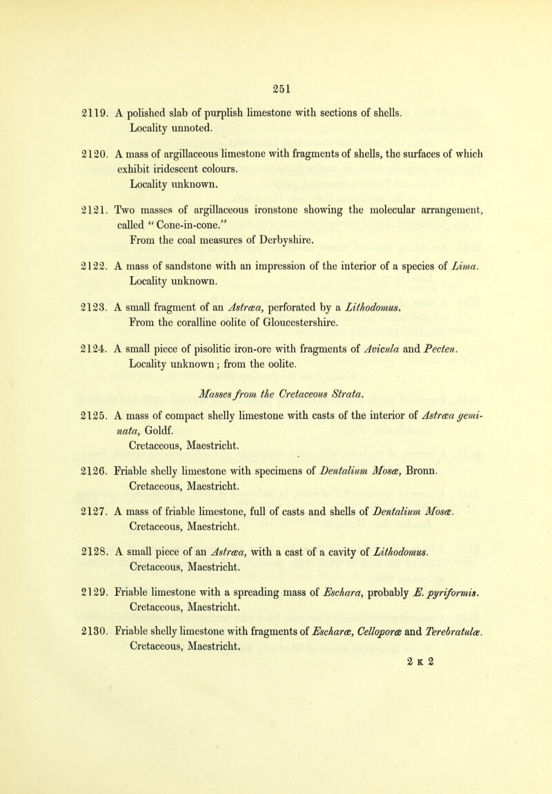 2119. A polished slab of purpHsh limestone with sections of shells. Locality unnoted. 2120. A mass of argillaceous limestone with fragments of shells, the surfaces of which exhibit iridescent colours. Locality imknown. 2121. Two masses of argillaceous ironstone showing the molecular arrangement, called  Cone-in-cone. From the coal measures of Derbyshire. 2122. A mass of sandstone with an impression of the interior of a species of Lima. Locality unknown. 2123. A small fragment of an Astraa, perforated by a Lithodomus. From the coralline oolite of Gloucestershire. 2124. A small piece of pisolitic iron-ore with fragments of Avicula and Pecten. Locality unknown; from the oolite. Masses from the Cretaceous Strata. 2125. A mass of compact shelly limestone with casts of the interior of Astraa gemi- nata, Goldf. Cretaceous, Maestricht. 2126. Friable shelly limestone with specimens of Bentalium Mosa, Bronn. Cretaceous, Maestricht. 2127. A mass of friable limestone, full of casts and shells of Bentalium Moses. Cretaceous, Maestricht. 2128. A small piece of an Astreea, with a cast of a cavity of Lithodomus. Cretaceous, Maestricht. 2129. Friable limestone with a spreading mass of Eschara, probably E. piriformis. Cretaceous, Maestricht. 2130. Friable shelly limestone with fragments of Escharcs, Celloporcs and Terebratulce. Cretaceous, Maestricht. 2 K 2