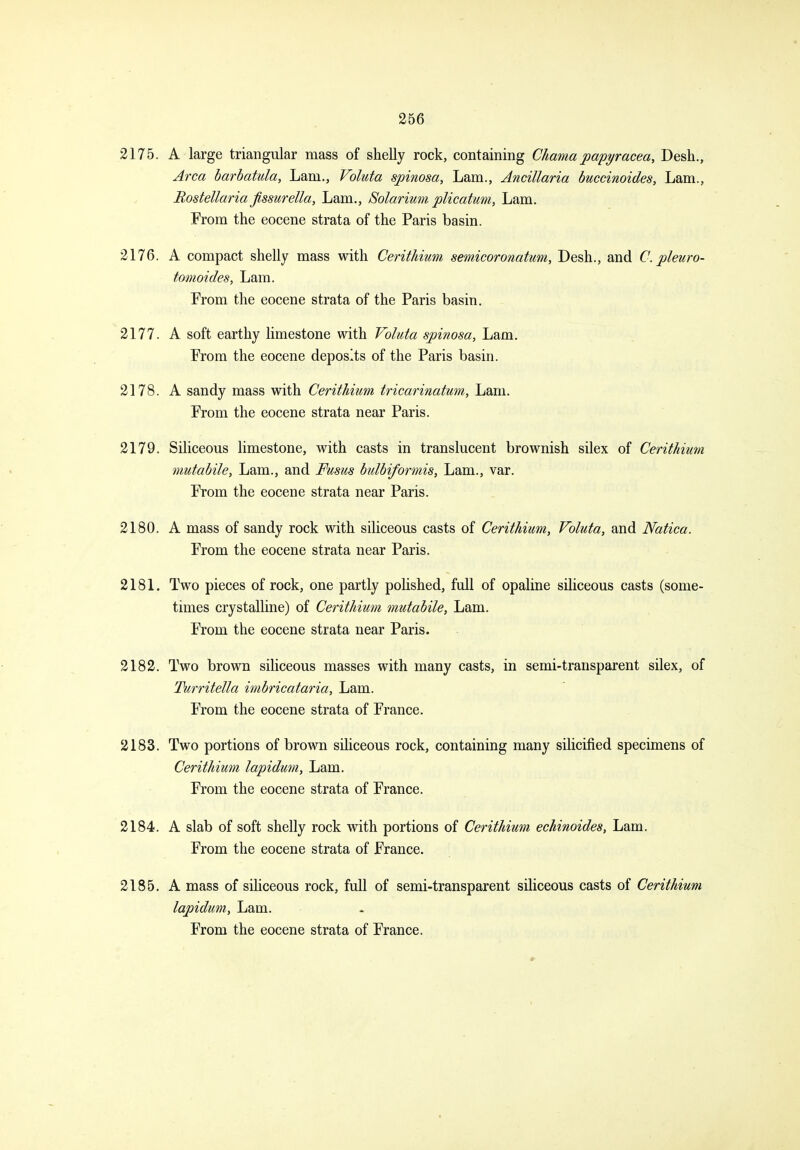 2175. A large triangular mass of shelly rock, containing Chamapapyracea, Desh., Area harhatula. Lam., Valuta spinosa. Lam., Ancillaria buccinoides, Lam., Bostellaria flssurella, Lam., Solarium plicatum, Lam. From the eocene strata of the Paris basin. 2176. A compact shelly mass with Cerithium semicoronatum, Desh., and C.pleuro- tomoides, Lam. From the eocene strata of the Paris basin. 2177. A soft earthy limestone with Voluta spinosa. Lam, From the eocene deposits of the Paris basin. 2178. A sandy mass with Cerithium tricarinatum. Lam. From the eocene strata near Paris. 2179. Sihceous hmestone, with casts in translucent brownish silex of Cerithimn mutabile, Lam., and Fusus bulbiformis. Lam., var. From the eocene strata near Paris. 2180. A mass of sandy rock with siliceous casts of Cerithium, Voluta, and Natica. From the eocene strata near Paris. 2181. Two pieces of rock, one partly pohshed, full of opaline siliceous casts (some- times crystalline) of Cerithium mutabile, Lam. From the eocene strata near Paris. 2182. Two brown sihceous masses with many casts, in semi-transparent silex, of Turritella imbricataria. Lam. From the eocene strata of France. 2183. Two portions of brown siliceous rock, containing many silicified specimens of Cerithium lapidum, Lam. From the eocene strata of France. 2184. A slab of soft shelly rock with portions of Cerithium echinoides, Lam. From the eocene strata of France. 2185. A mass of siliceous rock, full of semi-transparent siliceous casts of Cerithium lapidum, Lam. From the eocene strata of France.