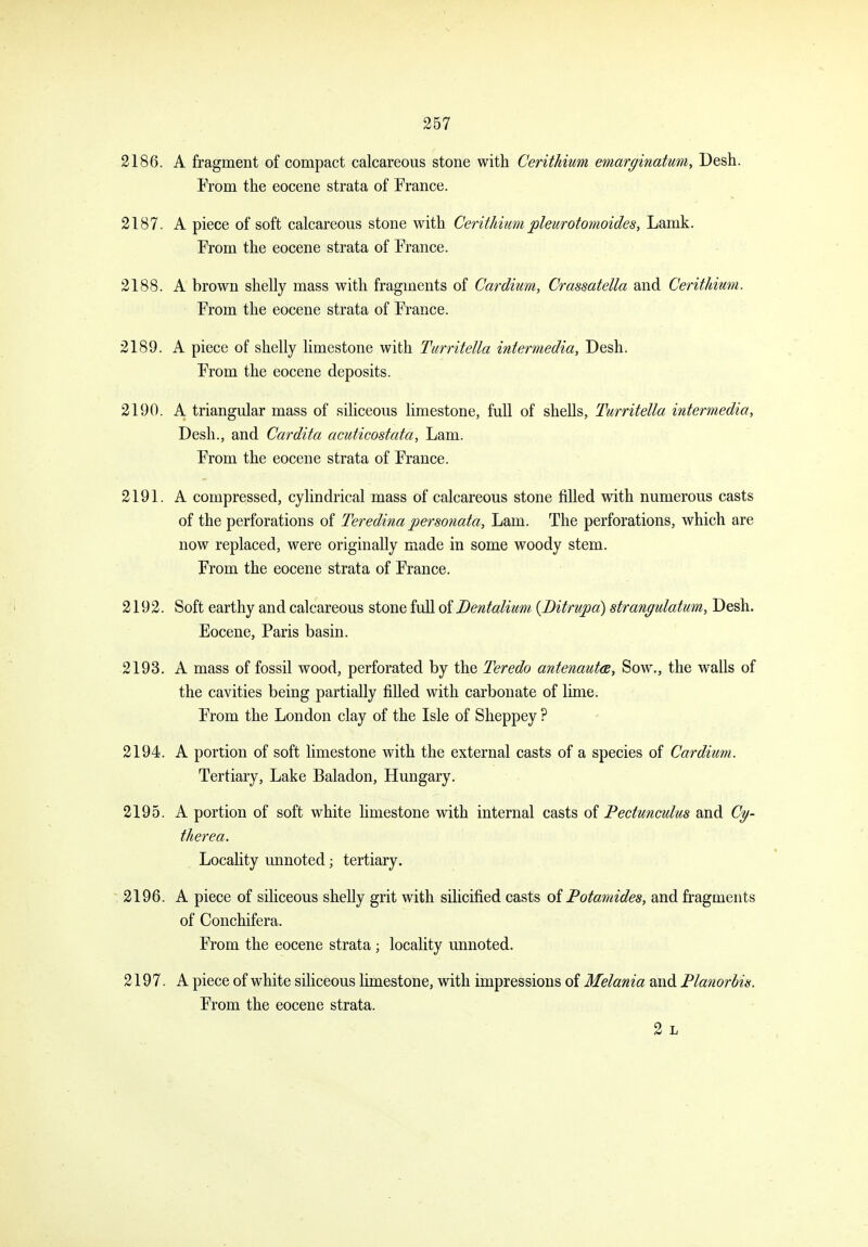 2186. A fragment of compact calcareous stone with Cerithium emarpnatum, Desh. From the eocene strata of France. 2187. A piece of soft calcareous stone with Cerithiumpleurotomoides, Lamk. From the eocene strata of France. 2188. A brown shelly mass with fragments of Cardium, Crassatella and Cerithium. From the eocene strata of France. 2189. A piece of shelly limestone with Tiirritella intermedia, Desh. From the eocene deposits. 2190. A triangular mass of siliceous limestone, full of sheUs, Turritella intermedia, Desh., and Cardita acuticostata, Lam. From the eocene strata of France. 2191. A compressed, cylindrical mass of calcareous stone filled with numerous casts of the perforations of Teredina personata, Lam. The perforations, which are now replaced, were originally made in some woody stem. From the eocene strata of France. 2192. Soft earthy and calcareous stone full oiDentalium {Ditrupa) strangulatum, Desh. Eocene, Paris basin. 2193. A mass of fossil wood, perforated by the Teredo antenauta. Sow., the walls of the cavities being partially filled with carbonate of lime. From the London clay of the Isle of Sheppey ? 2194. A portion of soft limestone with the external casts of a species of Cardium. Tertiary, Lake Baladon, Hungary. 2195. A portion of soft white hmestone with internal casts of Pectunculus and Ci- ther ea. Locality unnoted; tertiary. 2196. A piece of siliceous shelly grit with silicified casts oiPotamides, and fragments of Conchifera. From the eocene strata ; locality unnoted. 2197. A piece of white siliceous limestone, with impressions of Melania and Planorhis. From the eocene strata. 2 L
