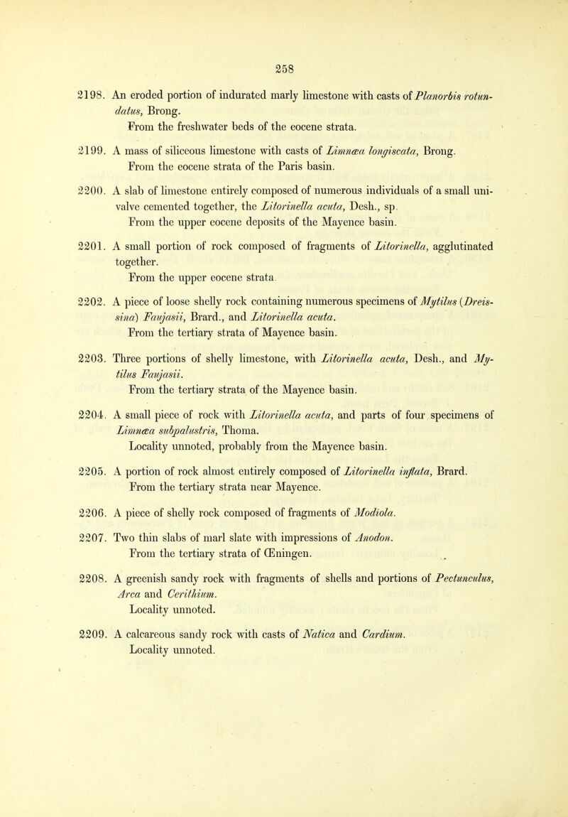2198. An eroded portion of indurated marly limestone with casts oiPlanorbis rotun- datus, Brong. From the freshwater beds of the eocene strata. 2199. A mass of siliceous limestone with casts of Limnaa longiscata, Brong. From the eocene strata of the Paris basin. 2200. A slab of limestone entirely composed of numerous individuals of a small uni- valve cemented together, the Litorinella acuta, Desh., sp. From the upper eocene deposits of the Mayence basin. 2201. A small portion of rock composed of fragments of Litorinella, agglutinated together. From the upper eocene strata, 2202. A piece of loose shelly rock containing numerous specimens oi Mytilus [Breis- sitid) Fanjasii, Brard., and Litorinella acuta. From the tertiary strata of Mayence basin. 2203. Three portions of shelly limestone, with Litorinella acuta, Desh., and tilus Faryasii. From the tertiary strata of the Mayence basin. 2204. A small piece of rock with Litorinella acuta, and parts of four specimens of Linmcea subpalustris, Thoma. Locality unnoted, probably from the Mayence basin. 2205. A portion of rock almost entirely composed oi Litorinella inflata, Brard. From the tertiary strata near Mayence. 2206. A piece of shelly rock composed of fragments of Modiola. 2207. Two thin slabs of marl slate with impressions of Anodon. From the tertiary strata of OEningen. 2208. A greenish sandy rock with fragments of shells and portions of Pectuncuhis, Area and Cerithiim. Locality unnoted. 2209. A calcareous sandy rock with casts of Natica and Cardium. Locality unnoted.