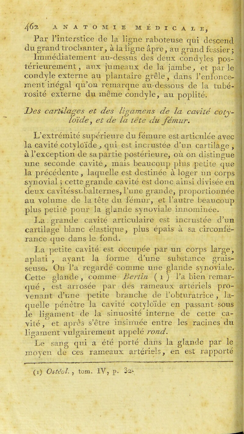 Par l'interstice de la ligne raboteuse qui descend du grand troclianter, à la ligne âpre, au grand fessier ; Immédiatement au-dessus des deux condyles pos- térieurement, aux jumeaux de la jambe^ et parle condyle externe au plantaire grêle, dans l'enfonce- ment inégal qu'on remarque au-dessous de la tubé- rosité externe du même condyle, au poplité. JDes cartilages et des lîgamens de la cavité cotj- loïde y et de la tête du fémur. L'extrémité supérieure du féraure est articulée avec la cavité cotyloïde^ qui est incrustée d'un cartilage , à l'exception de sa partie postérieure, où on distingue une seconde cavité^ mais beaucoup plus petite que la précédente , laquelle est destinée à loger un corps synovial ; cette grande cavité est donc ainsi divisée en deux cavitéssuL^alternes, l'une grande, proportionnée au volume de la tête du fémur, et l'autre beaucoup plus petite pour la glande synoviale innominée. I^a. grande cavité articulaire est incrustée d'un cartilage blanc élastique, plus épais à sa circonfé- rance que dans le fond. La petite cavité est occupée par un corps large, aplati , ayant la forme d'une substance grais- seuse. On l'a regardé comme une glande synoviale. Cette glande, comme Bertin ( i ) l'a bien remar- qué , est arrosée par des rameaux artériels pro- venant d'une petite branche de l'obturatrice, la- quelle pénètre la cavité cotyloïde en passant sous le ligament de la sinuosité interne de cette ca- vité et après s'être insinuée entre les racines du ligament vulgairement appelé rond. Le sang qui a été porté dans la glande par le moyen de ces rameaux artériels, en est rapporté