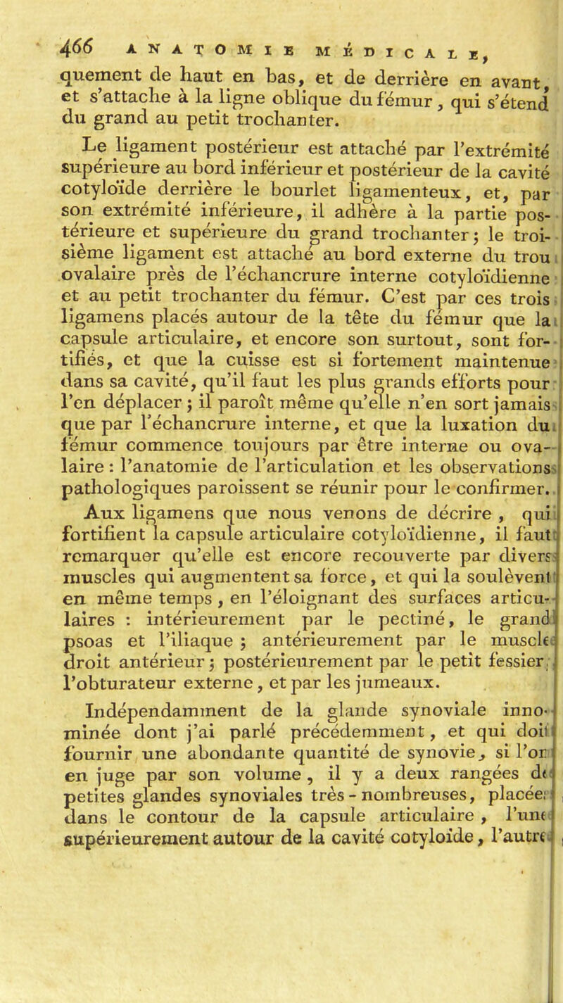 quement de haut en bas, et de derrière en avant et s'attache à la ligne obi ique du f émur, qui s'étend du grand au petit trochanter. Le ligament postérieur est attaché par l'extrémité supérieure au bord inférieur et postérieur de la cavité cotyloïde derrière le bourlet ligamenteux, et, par • son extrémité inférieure, il adhère à la partie pos-- térieure et supérieure du grand trochanter; le troi-- siènie ligament est attaché au bord externe du troui ovalaire près de l'échancrure interne cotyloïdienne ; et au petit trochanter du fémur. C'est par ces trois» ligamens placés autour de la tête du fémur que lai capsule articulaire, et encore son surtout, sont for-- tlfîés, et que la ci:tîsse est si fortement maintenue? dans sa cavité, qu'il faut les plus grands efforts pour: l'en déplacer j il paroît même qu'elle n'en sort jamaiss que par l'échancrure interne, et que la luxation dut fémur commence toujours par être interne ou ova- laire : l'anatomie de l'articulation et les observationss pathologiques paroissent se réunir pour le confirmer.. Aux ligamens que nous venons de décrire , quii fortifient la capsule articulaire cotyloïdienne, il fautt remarquer qu'elle est encore recouverte par diver^s muscles qui augmentent sa force, et qui la soulèventi en même temps , en l'éloignant des surfaces articur- laires : intérieurement par le pectiné, le grand psoas et l'iliaque ; antérieurement par le musclcj droit antérieur ; postérieurement par le petit fessier , l'obturateur externe, et par les jumeaux. Indépendamment de la glande synoviale inno- minée dont j'ai parlé précédemment, et qui doit fournir une abondante quantité de synovie^ si l'or en juge par son volume , il y a deux rangées de< petites glandes synoviales très - nombreuses, placée;: , dans le contour de la capsule articulaire , l'unet supérieurement autour de la cavité cotyloide, l'autrci ,