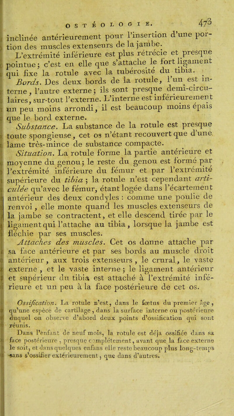 inclinée antérieurement pour l'insertion d'une por- tion des muscles extenseurs de la jambe. L'extrémité inférieure est plus rétrécie et presque pointue 5 c'est en elle que s'attache le fort ligament (lui llxe la rotule avec la tubérosité du tibia. ^ Bords. Des deux bords de la rotule, l'un est in- terne , l'autre externe j ils sont presque demi-circu- laires, sur-tout l'externe. L'interne est inférieuremeiit un peu moins arrondi, il est beaucoup moins épais que le bord externe. Substance. La substance de la rotule est presque toute spongieuse, cet os n'étant recouvert que d'una lame très-mince de substance compacte. Situation. La rotule forme la partie antérieure et moyenne du genou ; le reste du genou est formé par l'extrémité inférieure du fémur et par l'extrémité supérieure du tibia ; la rotule n'est cependant arti- culée qu'avec le fémur, étant logée dans l'écartement antérieur des deux condyles : comme une poulie de renvoi, elle monte quand les muscles extenseurs de la jambe se contractent, et elle descend tirée par le ligament qui l'attache au tibia, lorsque la jambe est fléchie par ses muscles. Attaches des muscles. Cet os donne attache par sa face antérieure et par ses bords au muscle droit antérieur, aux trois extenseurs , le crural, le vaste externe , et le vaste interne ; le ligament antérieur et supérieur un tibia est attaché à l'extrémité infé- rieure et un peu à la face postérieure de cet os. Ossification. La rotule n'est, dans le foetus du premier Age , 3u'une espèce de cartilage , dans la surface interne ou postérieure uquel on observe d'abord deux points d'ossification qui sont réunis. Dans l'ènfant de neuf mois, la rotule est déjà ossifiée dans sa face postérieure , presque complètement, avant que la face externe le soit, et dans qiielcjues enfans elle reste beaiicoup plus long-temps •«ans s'ossifier extérieurement, que dans d'autres.