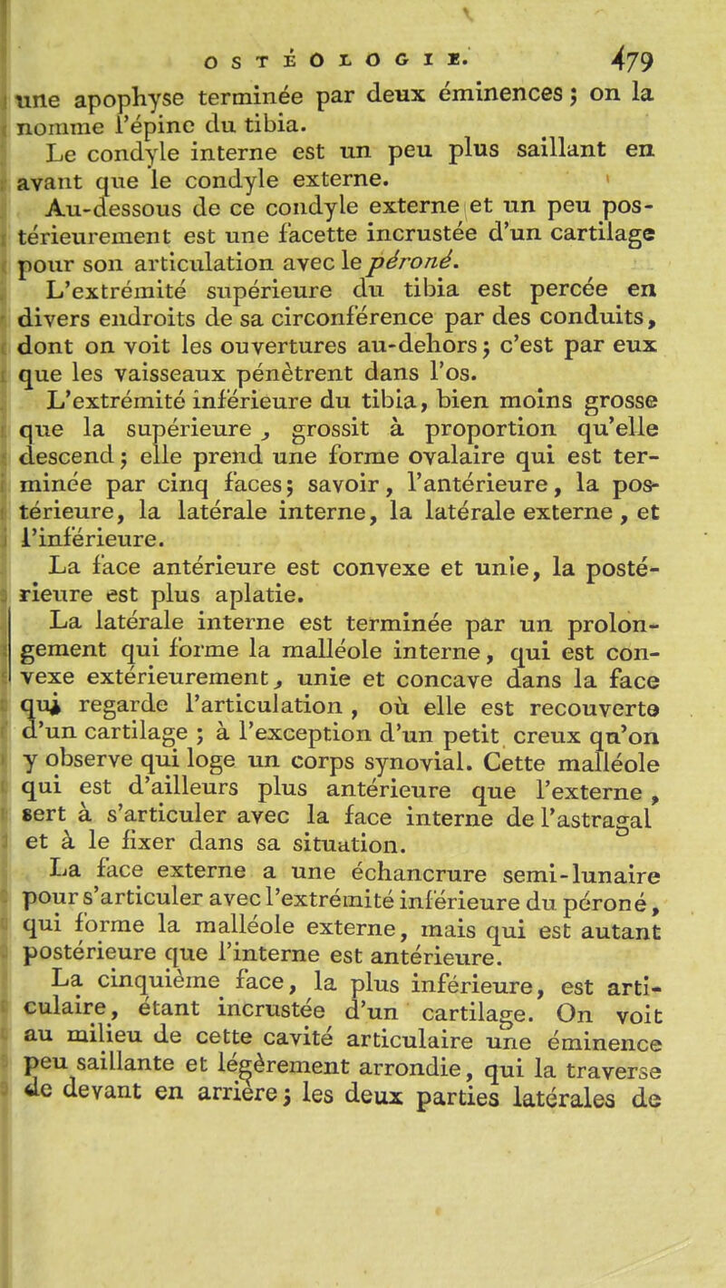 une apophyse terminée par deux éminences ; on la nomme i'épine du tibia. Le condyle interne est un peu plus saillant en avant que le condyle externe. > , Au-dessous de ce condyle externe et un peu pos- • térieurement est une facette incrustée d'un cartilage I pour son articulation avec le péroné. L'extrémité supérieure du tibia est percée en ! divers endroits de sa circonférence par des conduits, 1 dont on voit les ouvertures au-deliors j c'est par eux • que les vaisseaux pénètrent dans l'os. L'extrémité inférieure du tibia, bien moins grosse i que la supérieure , grossit à proportion qu'elle I descend ; elle prend une forme ovalaire qui est ter- I minée par cinq faces ; savoir, l'antérieure, la pos- Itérieure, la latérale interne, la latérale externe , et l'inférieure. La face antérieure est convexe et unie, la posté- rieure est plus aplatie. La latérale interne est terminée par un prolon- gement qui forme la malléole interne, qui est con- vexe extérieurement^ unie et concave dans la face qui regarde l'articulation , où elle est recouvert© d'un cartilage ; à l'exception d'un petit creux qu'on y observe qui loge un corps synovial. Cette malléole qui est d'ailleurs plus antérieure que l'externe , sert à s'articuler avec la face interne de l'astragal et à le fixer dans sa situation. La face externe a une échancrure semi-lunaire pour s'articuler avec l'extrémité inf érieure du péroné, qui forme la malléole externe, mais qui est autant postérieure que l'interne est antérieure. La cinquième face, la plus inférieure, est arti- culaire, étant incrustée d'un cartilage. On voit au milieu de cette cavité articulaire une éminence peu saillante et légèrement arrondie, qui la traverse de devant en arrière 5 les deux parties latérales de