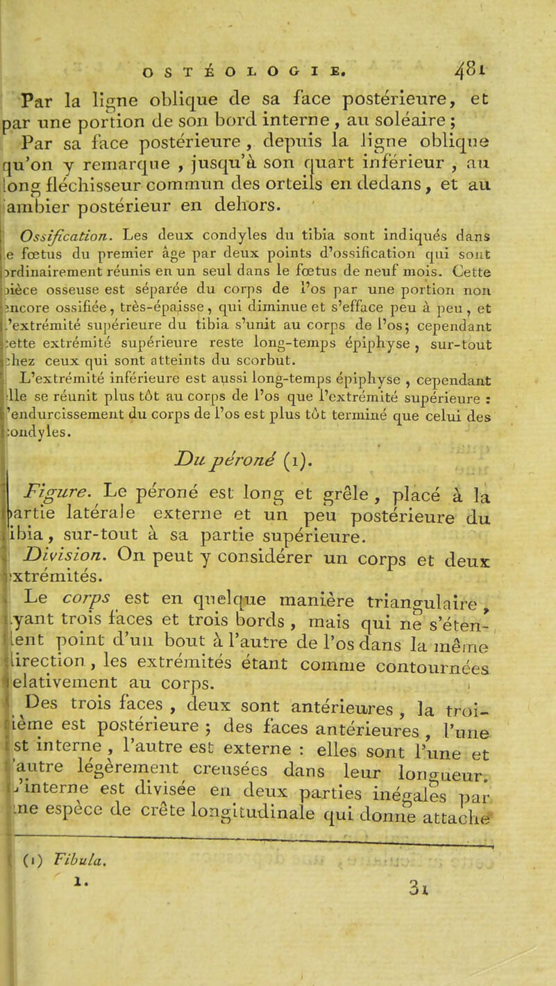 Par la ll£^ne oblique de sa face postérieure, et par une portion de son bord interne , au soléaire ; Par sa face postérieure , depuis la ligne oblique qu'on y remarque , jusqu'à son riuart inférieur , au long fléchisseur commun des orteils en dedans, et au. iambier postérieur en dehors. ! Ossification. Les deux condyles du tibia sont indiqués dans e fœtus du premier âge par deux points d'ossification qui soiit ordinairement réunis en un seul dans le fœtus de neuf mois. Cette jièce osseuse est séparée du corps de l'os par une portion non încore ossifiée, très-épaisse, qui diminue et s'efface peu à peu, et .'extrémité supérieure du tibia s'unit au corps de l'os; cependant lette extrémité supérieure reste long-temps épiphyse, sur-tout ;hez ceux qui sont atteints du scorbut. L'extrémité inférieure est aussi long-temps épiphyse , cependant lie se réunit plus tôt au corps de l'os que l'extrémité supérieure : 'endurcissement du corps de l'os est plus tôt terminé que celui des condyies. Du péroné (i). Figure. IjC péroné est long et grêle, placé à la bartie latérale externe et un peu postérieure du ibia, sur-tout à sa partie supérieure. Division. On peut y considérer un corps et deux xtrémités. Le corps est en quelque manière triancrulaîre |yant trois faces et trois bords , mais qui ne s'éten- lent point d'un bout à l'autre de l'os dans la même Jirection, les extrémités étant comme contournées jelativement au corps. Des trois faces , deux sont antérieures , la troi- lème est postérieure ; des faces antérieures , l'une st interne , l'autre est externe : elles sont l'une et autre légèrement creusées dans leur longueur, .'interne est divisée en deux parties inégales pai- rie espèce de crête longitudinale qui donne attache- Ci) Fibula. 3i 1