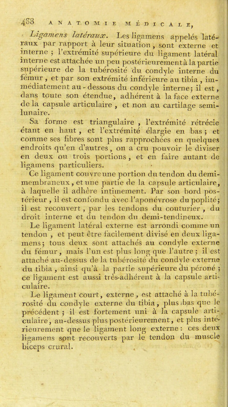 . Ligamens latéraux. Les Jigamens appelés laté- raux par rapport à leur situation , sont externe et interne ; l'extrémité supérieure du ligament latéral intern e est attachée un peu postérieurement à la partie supérieure de la tubérosité du condyle interne du fémur , et par son extrémité inférieure au tibia , im- médiatement au-dessous du condyle internej il est, dans toute son étendue, adhérent à la face externe de la capsule articulaire , et non au cartilage semi- lunaire. Sa forme est triangulaire , l'extrémité rétrécie étant en haut , et l'extrémité élargie en bas ; et comme ses fibres sont plus rapprochées en quelques endroits qu'en d'autres, on a cru pouvoir le diviser en deux ou trois portions , et en faire autant de ligamens particuliers. Ce ligament couvre une portion du tendon du demi- membraneux, et une partie de la capsule articulaire, à laquelle il adhère intimement. Par son bord pos- térieur , il est confondu avec l'aponévrose du poplitéj il est recouvert , par les tendons du couturier , du droit interne et du tendon du demi-tendineux. Le ligament latéral externe est arrondi comme un tendon , et peut être facilement divisé en deux liga- mens 5 tous deux sont attachés au condyle externe du fémur , mais l'un est plus long que l'autre 5 il est attaché au-dessus de la tubérosité du condyle externe du tibia , ainsi qu'à la partie supérieure du péroné ; ce ligament est aussi très-adhérent à la capsule arti- culaire. Le ligament court, externe^ est attaché à la tubé- rosité du condyle externe du tibia, plus ibas que le précédent ; il est fortement uni à la capsule arti- culaire, au-dessus plus postérieurement, et plus inté- rieurement qiae le ligament long externe: ces deux ligamens sont recouverts par le tendon du muscle biceps cruriil.