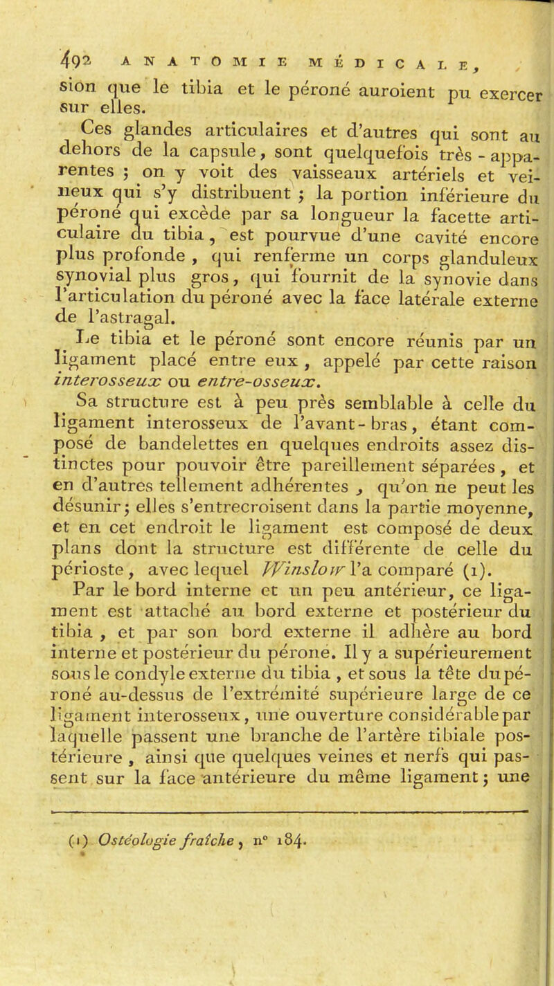sion que le tibia et le péroné auroient pu exercer sur elles. Ces glandes articulaires et d'autres qui sont au dehors de la capsule, sont quelquefois très - appa- rentes ; on y voit des vaisseaux artériels et vei- neux qui s'y distribuent j la portion inférieure du péroné qui excède par sa longueur la facette arti- culaire du tibia, est pourvue d'une cavité encore plus profonde , qui renferme un corps glanduleux synovial plus gros, qui fournit de la synovie dans l'articulation du péroné avec la face latérale externe de l'astragal. ^ Le tibia et le péroné sont encore réunis par un ligament placé entre eux , appelé par cette raison interosseux ou entre-osseux. Sa structure est à peu près semblable à celle du ligament interosseux de l'avant-bras, étant com- posé de bandelettes en quelques endroits assez dis- tinctes pour pouvoir être pareillement séparées, et en d'autres tellement adhérentes y qu'on ne peut les désunir 5 elles s'entrecroisent dans la partie moyenne, et en cet endroit le ligament est composé de deux plans dont la structure est différente de celle du périoste, avec lequel /'/^//z^/o/r l'a comparé (i). Par le bord interne et un peu antérieur, ce liga- ment est attaché au bord externe et postérieur du tibia , et par son bord externe il adhère au bord interne et postérieur du péroné. Il y a supérieurement sous le condyle externe du tibia , et sous la tête dupé- ■ roné au-dessus de l'extrémité supérieure large de ce ligament interosseux, ime ouverture considérable par laquelle passent une branche de l'artère tibiale pos- térieure , ainsi que quelques veines et nerfs qui pas- sent sur la lace antérieure du même ligament j une (i) Ostéologie fraîche j n 184.