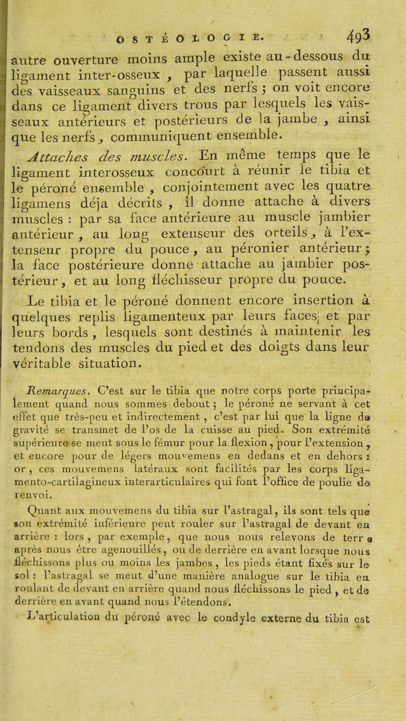 OSTKOXOOIE. 49^ autre ouverture moins ample existe au - dessous du ligament inter-osseux , par laquelle passent aussi des vaisseaux sanguins et des nerfs ; on voit encore dans ce ligament divers trous par lesquels les vais- seaux antérieurs et postérieurs de la jambe , ainsi que les nerfs j communiquent ensemble. Attaches des muscles. En même temps (jue le ligament interosseux concourt à réunir le tibia et le péroné ensemble , conjointement avec les quatre ligamens déjà décrits , il donne attache à divers muscles : par sa face antérieure au muscle jambier antérieur, au long extenseur des orteils^ à l'ex- tenseur propre du* pouce , au péronier antérieur j la face postérieure donne attache au jambier pos- térieur , et au long fléchisseur propre du pouce. Le tibia et le péroné donnent encore insertion à quelques replis ligamenteux par leurs faces] et par leurs bords , lesquels sont destinés à maintenir les tendons des muscles du pied et des doigts dans leur véritable situation. Kemarques. C'est sur le tibia que notre corps porte principa- lement quand nous sommes debout ; le péroné ne servant à cet effet que très-peu et indirectement , c'est par lui que la ligne da gravité se transmet de l'os de la cuisse au pied- Son extrémité supérieure se meut sous le fémur pour la flexion, pour l'extension , et encore pour de légers mou^^emens en dedans et en dehors : or , ces mouvemens latéraux sont facilités par les corps liga- mento-cartilagineux interarticulaires qui font l'office de poulie de renvoi. Quant aux mouvemens du tibia sur l'astragal, ils sont tels que son extrémité inférieure peut rouler sur l'astragal de devant ea arrière : lors , par exemple, que nous nous relevons de terr e après nous être agenouillés, ou de derrière en avant lorsque nous fléchissons plus ou moins les jambes , les pieds étant fixés sur 1© sol : l'astragal se meut d'une manière analogue sur le tibia en, roulant de devant en arrière quand nous fléchissons le pied , et de derrière en avant quand nous l'étendons. L'articulation du péroné avec le condyle externe du tibia est