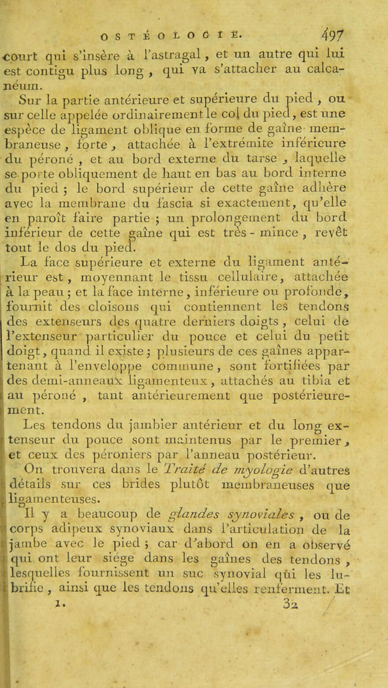 cowrt qui s'insère à l'astragal, et un autre qui lui est contigu plus long , qui va s'attacher au calca- néum. Sur la partie antérieure et supérieure du pied , ou sur celle appelée ordinairement le coi du pied, est une espèce de ligament oblique en ibrrae de gaine mem- braneuse , forte ^ attachée à l'extrémité inférieure du péroné , et au bord externe du tarse ^ laquelle se poi te obliquement de haut en bas au bord interne du pied j le bord supérieur de cette gaine adhère avec la membrane du fascia si exactement, qu'elle en paroît faire partie ; un prolongement du bord inférieur de cette gaine qui est très - mince , revêt tout le dos du pied. La face supérieure et externe du ligament anté- rieur est, moyennant le tissu cellulaire, attachée à la peau j et la face interne, inférieure ou profonde, fournit des cloisons qui contiennent les tendons des extenseurs des quatre derniers doigts , celui dê l'extenseur particulier du pouce et celui du petit doigt, quand il existe j plusieurs de ces gaines appar- ! tenant à l'enveloppe commune , sont fortiliées par i des deml-anneauic ligamenteux , attachés au tibia et i au péroné , tant antérieurement que postérieure- I ment. Les tendons du jambier antérieur et du long ex- : tenseur du pouce sont maintenus par le premier, : et ceux des péroniers par l'anneau postérieur. On trouvera dans le Traité de myologie d'autres détails sur ces brides plutôt membraneuses que ligamenteuses. Il y a beaucoup de glandes synoviales , ou de corps adipeux synoviaux dans l'articulation de la I jambe avec Je pied j car d^abord on en a observé ïqui ont leur siège dans les gaines des tendons , 1 lesquelles fournissent un suc synovial qûi les lu- 1 brille , ainsi que les tendons qu'elles renferment. Et II. 3a
