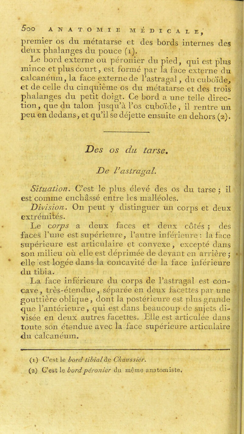 premier os du métatarse et des bords internes des delix phalanges du pouce (i). Le bord externe ou péronier du pied, qui est plus mince et plus court, est formé par la face externe du calcanéum, la face externe de l'astragal, du cuboïde^ et de celle du cinquième os du métatarse et des trois phalanges du petit doigt. Ce bord a une telle direc- tion , que du talon jiisqu'à l'os cuboïde, il rentre un peu en dedans, et qu'il se dé jette ensuite en dehors (2). Des os du tarse, il De rastraa-al. Situation. Oest le plus élevé des os du tarse j il est comme enchâssé entre les malléoles. Division. On peut y distinguer un corps et deux extrémités. Le corps a deux faces et deux côtés j des faces l'une est supérieure, l'autre inférieure: la face supérieure est articulaire et convexe, excepté dans son milieu où elle est déprimée de devant en arrière ; elle est logée dans la concavité de la face inférieure du tibia. La face inférieure du corps de l'astragal est con- cave, très-étendue, séparée en deux facettes par une gouttière oblique, dont la postérieure est plus grande que l'antérieure, qui est dans beaucoup de sujets di- visée en deux autres facettes. Elle est articulée dans toiite son étendue avec la face supérieure articulaire du calcanéum. (1) C'est le bord tibialàe Chaiissier. (2) C'est le bordpéronisr du même anatomiste.
