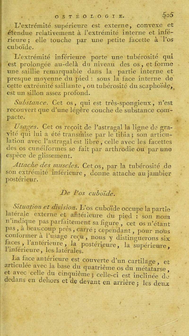 L'extrémité supérieure est externe, convexe et étendue relativement à l'extréjnité interne et infé- rieure î elle touche par une petite facette à l'os cuboïde. L'extrémité inférieure porte une tubérosité qui est prolongée au-delà du niveau des os, et forme une saillie remarquable dans la partie interne et pres(|ue moyenne du pied : sous la face interne de cette extrémité saillante , ou tubérosité du scaphoïde,^ est un sillon assez profond. Substance. Cet os, qui est très-spongieux, n'est recouvert que d'une légère couche de substance com- pacte. Usao-es. Cet os reçoit de l'astragal la ligne de era- Vite qui lui a ete transmise par le tibia j son articu- lation avec l'astragal est libre, celle avec les facettes des os cunéiformes se fait par arthrodie ou par une espèce de glissement. Attache des muscles. Cet os, par la tubérosité de son extrémité inférieure, donne attache aujarabier postérieur. De Vos cuboïde. Situation et division. L'os cuboïde occupe la partie latérale externe et antéiieure du pied ; son nom n'indique pas parfaitement sa figure , cet os n'étant La lace antérieure est couverte d'un cartilage , et articulée avec la base du quatrième os du métatarse. et avec celle du cmquième j celle-ci est inclinée dJ dedans en dehors et de devant en arrière 3 les deu^