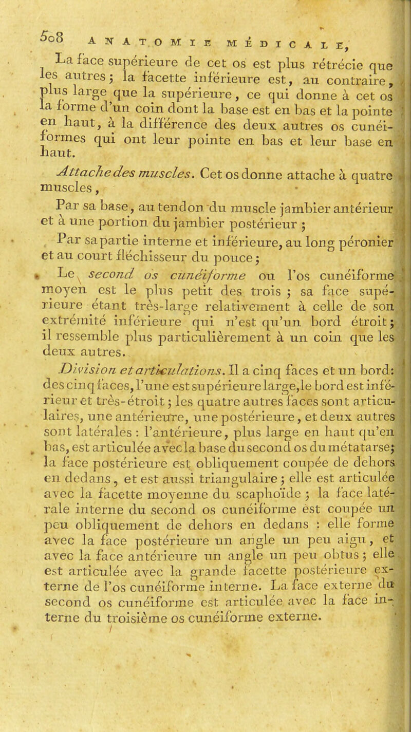 La lace supérieure de cet os est plus rétrécie que les autres; la facette inférieure est, au contraire, j3lus large que la supérieure, ce qui donne à cet os la forme d'un coin dont la base est en bas et la pointe en haut, à la différence des deux autres os cunéi- formes qui ont leur pointe en bas et leur base en haut. Attache des muscles. Cet os donne attache à quatre muscles, Par sa base, au tendon du muscle jambler antérieur et à une portion du jambier postérieur ; Par sapartie interne et inférieure, au long péronier et au court fléchisseur du pouce j k Le^ second os cunéiforme ou l'os cunéiforme moyen est le plus petit des trois ; sa face supé- rieure étant très-lar2,e relativement à celle de son extrémité miérieure qui n'est qu'un bord étroit ; il ressemble plus particulièrement à un coin que les deux autres. Division et articulations. Il a cinq faces et un bord : des cinqfaces, l'une est supérieure large,le bord est infé- rieur et très-étroit ; les quatre autres faces sont articu- laires, une antérieure, une postérieure, et deux autres sont latérales : l'antérieure, plus large en haut qu'en bas, est articulée avec la base du second os du métatarse; la face postérieure est obliquement coupée de dehors en dedans, et est aussi triangulaire ; elle est articulée avec la facette moyenne du scaphoïde ; la face laté- rale interne du second os cunéiforme est coupée un peu obliquement de dehors en dedans : elle forme avec la face postérieure un angle un peu aigu, et avec la face antérieure un angle un peu obtus; elle est articulée avec la grande facette postérieure ex- terne de l'os cunéiforme interne. La face externe du- second os cunéiforme est articulée avec la face in- terne du troisième os cunéiforme externe.