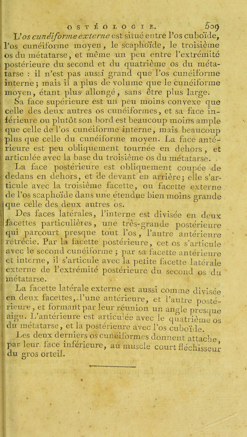 Uos cunéiforme externe est situé entre l'os cuboïde, l'os ciméilorme moyen, le scaphoïde, le troisième us du métatarse, et même un peu entre l'extrémité ]postérieure du second et du quatrième os du méta- tarse : il n'est pas aussi grand que l'os cunéiforme interne ; mais il a plus de volume que le cunéiforme moyen, étant plus' allongé, sans être plus large. Sa face supérieure est un peu moins convexe que colle des deux autres os cunéiformes, et sa face in- férieure ou plutôt son bord est beaucoup moins ample ([ue celle de l'os cunéiforme interne, mais beaucoup plus que celle du cunéiforme moyen. La face anté- rieure est peu obliquement tournée en dehors , et articulée avec la base du troisième os du métatarse. ■ La face postérieure est obliquement coupée de dedans en dehors, et de devant eii arrière; elle s'ar- ticule avec la troisième facette, ou facette externe de l'os scaphoïde dans une étendue bien moins grande que celle des deux autres os. Des faces latérales, l'interne est divisée en deux facettes particulières, une très-grande postérieure qui parcourt presque tout l'os, l'autre antérieure rétrécie. Par la facette postérieure, cet os s'articule avec le second cunéiforme j par sa facette antérieure et interne, îl s'articule avec la petite facette latérale externe de l'extrémité postérieure du second os du métatarse. La facette latérale externe est aussi comme divisée en deux facettes,.l'une antérieure, et l'autre posté- rieure, et formant par leur réunion un angle presque aigu. L'antérieure est articulée avec le quatrième os du métatarse, et la postérieure avec l'os cuboïde. Les deux derniers os cunéiformes donnent attache par leur face inférieure, au muscle court fléchisseur du gros orteil. «