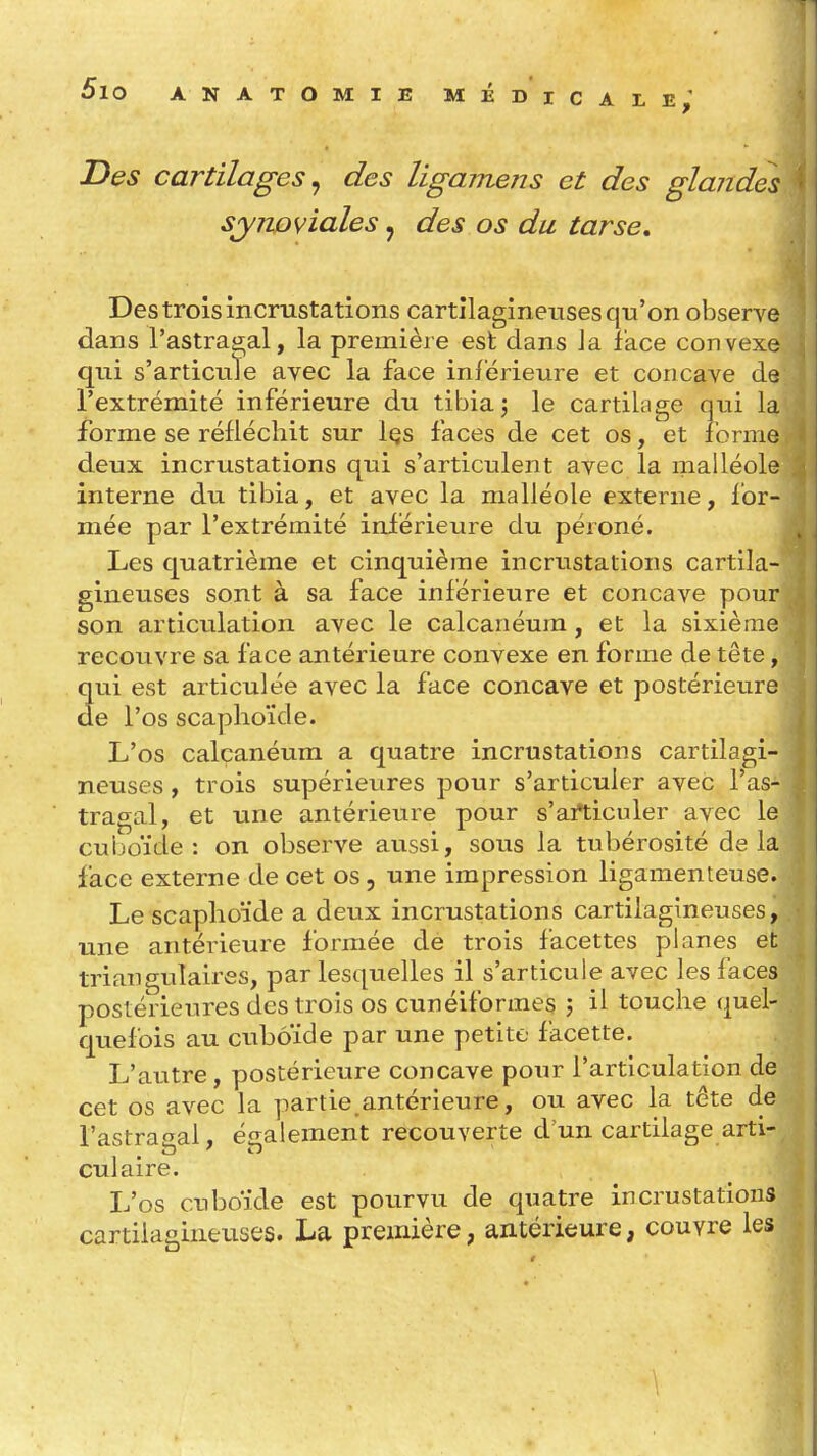 Des cartilages^ des ligamens et des glandes synoviales, des os du tarse. Des trois incrustations cartilagineuses qu'on observe dans l'astra^î^al, la première est dans Ja face convexe qui s'articuïe avec la face inférieure et concave de l'extrémité inférieure du tibia j le cartilage qui la forme se réfléchit sur Içs faces de cet os, et forme deux incrustations qui s'articulent avec la malléole interne du tibia, et avec la malléole externe, for- mée par l'extrémité inférieure du péroné. Les quatrième et cinquième incrustations cartila- gineuses sont à sa face inférieure et concave pour son articulation avec le calcanéum, et la sixième recouvre sa face antérieure convexe en forme de tête, qui est articulée avec la face concave et postérieure de l'os scaphoïde. L'os calcanéum a quatre incrustations cartilagi- neuses , trois supérieures pour s'articuler avec l'as- tragal, et une antérieure pour s'articuler avec le cuboïde : on observe aussi, sous la tubérosité delà face externe de cet os, une impression ligamenteuse. Le scaphoïde a deux incrustations cartilagineuses, une antérieure formée de trois facettes planes et triangulaires, par lesquelles il s'articule avec les faces postérieures des trois os cunéiformes 5 il touche quel- quefois au cuboïde par une petite facette. L'autre, postérieure concave pour l'articulation de cet os avec la partie,antérieure, ou avec la tête de l'astra^al, également recouverte d'un cartilage arti- culaire. L'os cnboïde est pourvu de quatre incrustations cartilagineuses. La première, antérieure, couvre les