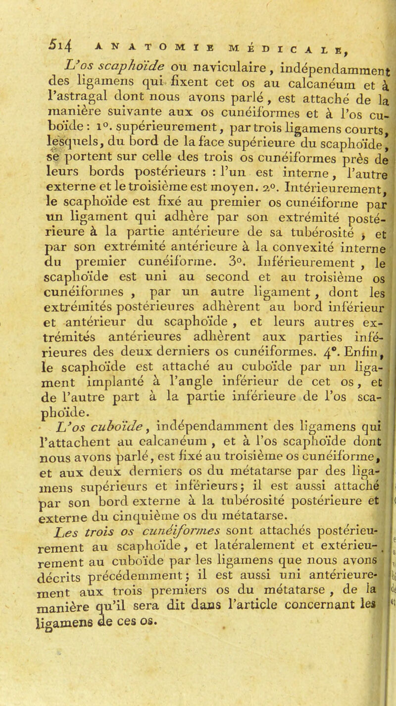 L'os scaphoïde ou naviculaire , indépendammen' des ligamens qui. fixent cet os au calcanéum et à l'astragal dont nous avons parlé , est attaché de la manière suivante aux os cunéiformes et à l'os cu- boïde : 1°. supérieurement, par trois ligamens courts lesquels, du bord de la face supérieure du scaphoïde | se portent sur celle des trois os cunéiformes près de leurs bords postérieurs : l'un est interne, l'autre externe et le troisième est moyen. 2,0. Intérieurement, le scaphoïde est fixé au premier os cunéiforme par un ligament qui adhère par son extrémité posté- rieure à la partie antérieure de sa tubérosité > et par son extrémité antérieure à la convexité interne du premier cunéiforme. 3°. Inférieurement , le scaphoïde est uni au second et au troisième os cunéiformes , par un autre ligament, dont les extrémités postérieures adhèrent au bord inférieur et antérieur du scaphoïde , et leurs autres ex- trémités antérieures adhèrent aux parties infé- rieures des deux derniers os cunéiformes. 4**- Enfin, le scaphoïde est attaché au cuboïde par un liga- ment implanté à l'angle inférieur de cet os, et j de l'autre part à la partie inférieure de l'os sca- phoïde. ■ Li'os cuboïde j indépendamment des ligamens qui rattachent au calcanéum , et à l'os scaphoïde dont nous avons parlé, est fixé au troisième os cunéiforme, et aux deux derniers os du métatarse par des liga- I mens supérieurs et inférieurs j il est aussi attaché || par son bord externe à la tubérosité postérieure et externe du cinquième os du métatarse. Les trois os cunéiformes sont attachés postérieu- rement au scaphoïde, et latéralement et extérieu- ^ rement au cuboïde par les ligamens que nous avons décrits précédemment ; il est aussi uni antérieure-.: ment aux trois premiers os du métatarse , de la manière qu'il sera dit dans l'article concernant le* ligamens ae ces os.