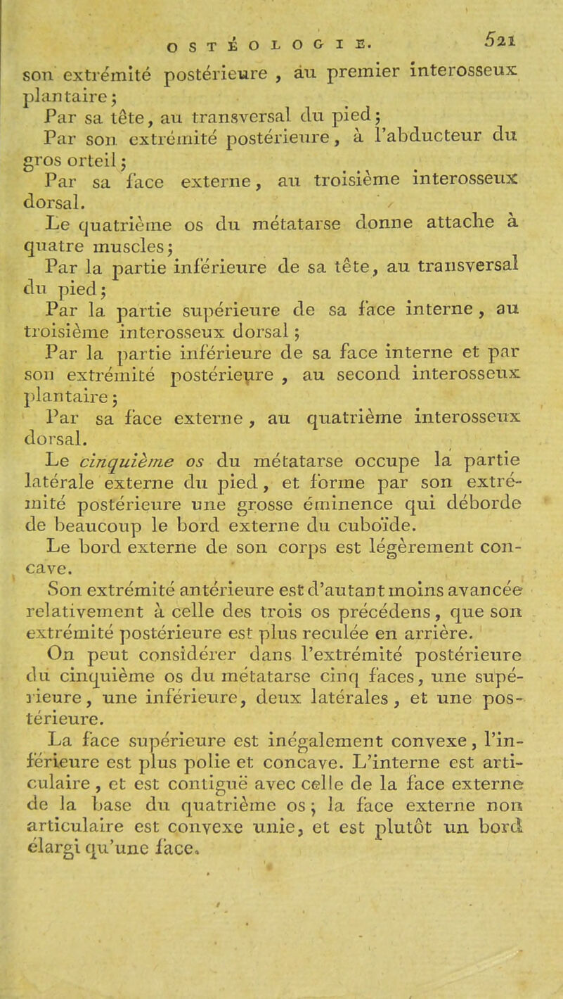 son extrémité postérieure , au premier interosseux plantaire ; Par sa tête, au transversal du piedj Par son extrémité postérieure, à l'abducteur du gros orteil j Par sa lace externe, au troisième interosseux dorsal. Le quatrième os du métatarse donne attache à quatre muscles j Par la partie inférieure de sa tête, au transversal du pied; Par la partie supérieure de sa face interne , au troisième interosseux dorsal ; Par la partie inférieure de sa face interne et par son extrémité postérie\ire , au second interosseux plantaire ; Par sa face externe, au quatrième interosseux dorsal. Le cinquième os du métatarse occupe la partie latérale externe du pied, et forme par son extré- mité postérieure une grosse éminence qui déborde de beaucoup le bord externe du cuboïde. Le bord externe de son corps est légèrement con- cave. Son extrémité antérieure est d'autant moins avancée relativement à celle des trois os précédens, que son extrémité postérieure est plus reculée en arrière. On peut considérer dans l'extrémité postérieure du cinquième os du métatarse cinq faces, une supé- lieure, une inférieure, deux latérales, et une pos- térieure. La face supérieure est inégalement convexe, l'in- férieure est plus polie et concave. L'interne est arti- culaire , et est contiguë avec celle de la face externe de Ja base du quatrième os \ la face externe non articulaire est convexe unie, et est plutôt un bord élargi qu'une lace. t