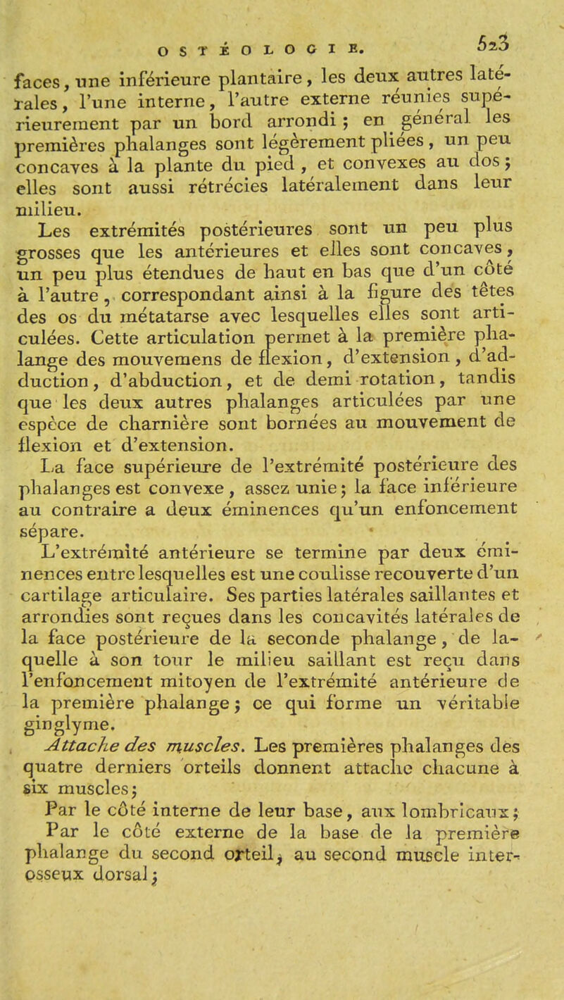 OSTiOLOOIE. OZÔ faces, une inférieure plantaire, les deux autres laté- rales, l'une interne, l'autre externe réunies supé- rieurement par un bord arrondi ; en général les premières phalanges sont légèrement pllées, un peu concaves à la plante du pied, et convexes au dos; elles sont aussi rétrécies latéralement dans leur milieu. Les extrémités postérieures sont un peu plus grosses que les antérieures et elles sont concaves, un peu plus étendues de haut en bas que d'un côté à l'autre, correspondant ainsi à la figure des têtes des os du métatarse avec lesquelles elles sont arti- culées. Cette articulation permet à la première pha- lange des mouveraens de flexion, d'extension , d'ad- duction , d'abduction, et de demi rotation, tandis que les deux autres phalanges articulées par une espèce de charnière sont bornées au mouvement de flexion et d'extension. La face supérieure de l'extrémité postérieure des phalanges est convexe , assez unie; la face inférieure au contraire a deux éminences qu'un enfoncement sépare. L'extrémité antérieure se termine par deux émi- nences entre lesquelles est une coulisse recouverte d'un cartilage articulaire. Ses parties latérales saillantes et arrondies sont reçues dans les concavités latérales de , la face postérieure de la seconde phalange, de la- ^ quelle à son toiir le milieu saillant est reçu dans l'enfoncement mitoyen de l'extrémité antérieure cle la première phalange; ce qui forme un véritable ginglyme. Attache des muscles. Les premières phalanges des quatre derniers orteils donnent attache chacune à six muscles; Par le côté interne de leur base, aux îombricaux; Par le côté externe de la base de la première phalange du second orteil^ au second muscle inter-^ psseux dorsal ;