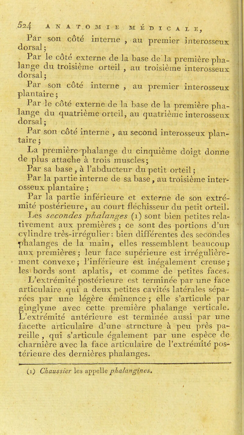 Par son côté interne , au premier interosseux dorsal j Par le côté externe de la base de la première pha- lange du troisième orteil , au troisième interosseux dorsal 5 Par son côté interne , au premier interosseux plantaire j Par le côté externe de la base de la première pha- lange du quatrième orteil, au quatrième interosseux dorsal ; Par son côté interne , au second interosseux plan- taire j La première phalange du cinquième doigt donne de plus attache à trois muscles; Par sa base , à l'abducteur du petit orteil ; Par la partie interne de sa base, au troisième inter- osseux plantaire ; Par la partie inférieure et externe de son extré- mité postérieure, au court fléchisseur du petit orteil. Les secondes phalanges (1) sont bien petites rela- tivement aux premières ; ce sont des portions d'un cylindre très-irrégulier : bien différentes des secondes p'halanges de la main , elles ressemblent beaucoup aux premières j leur face supérieure est irrégulière- ment convexe5 l'inférieure est inégalement creuse; les bords sont aplatis, et comme de petites faces. L'extrémité postérieure est terminée par une face articulaire qui a deux petites cavités latérales sépa- rées par une légère éminence ; elle s'articule par ginglyme avec cette première phalange verticale. L'extrémité antérienre est terminée aussi par une facette articulaire d'une structure à peu près pa- reille , qui s'articule également par une espèce de charnière avec la face articulaire de l'extrémité pos- térieure des dernières phalanges. (1) Chaussier les appelle phalangines.