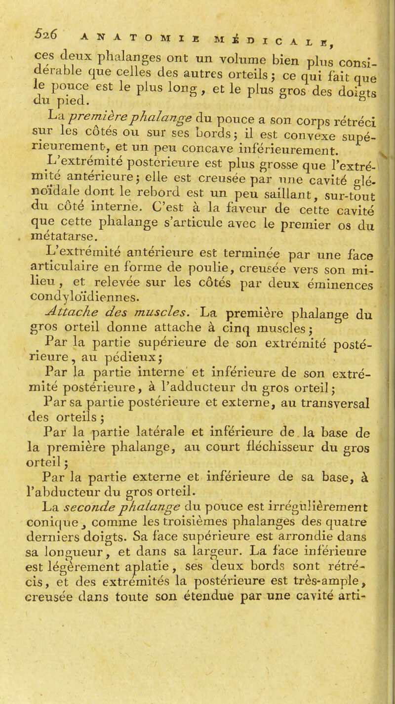 ces deux phalanges ont un volume bien plus consi- dérable que celles des autres orteils ; ce qui fkit que Je pouce est le plus long, et le plus gros des doigts du pied. ^ La première phalange du pouce a son corps rétréci sur les côtés ou sur ses bords j il est convexe supé- rieurement-, et un peu concave inférieurement. L'extrémité postérieure est plus grosse que l'extré- mité antérieure j elle est creusée par une cavité elé- noïdak dont le rebord est un peu saillant, sur-tout du côté interne. C'est à la faveur de cette cavité que cette phalange s'articule avec le premier os du métatarse. L'extrémité antérieure est terminée par une face articulaire en forme de poulie, creusée vers son mi- lieu , et relevée sur les côtés par deux éminences condyloïdiennes. Attache des muscles. La première phalange du gros orteil donne attache à cinq muscles j ^ Par la partie supérieure de son extrémité posté- rieure , au pédieux ; Par la partie interne et inférieure de son extré- mité postérieure, à l'adducteur du gros orteil j Par sa partie postérieure et externe, au transversal des orteils j Par la partie latérale et inférieure de la base de la première phalange, au court fléchisseur du gros orteil j Par la partie externe et inférieure de sa base, à l'abducteur du gros orteil. La seconde phalange du pouce est irrégulièrement conifjuCj comme les troisièmes phalanges des quatre derniers doigts. Sa face supérieure est arrondie dans sa longueur, et dans sa largeur. La face inférieure est légèrement aplatie, ses deux bords sont rétré- cis, et des extrémités la postérieure est très-ample, creusée dans toute son étendue par une cavité arti-