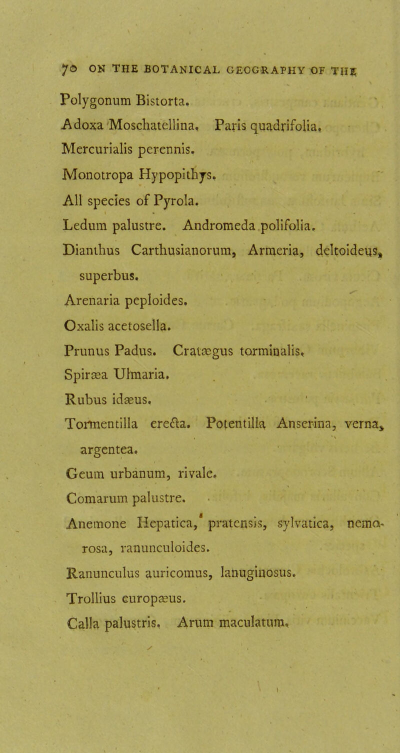 Polygonum Bistorta. Adoxa Moschatellina, Paris quadrifolia, Mercurialis perennis. Monotropa Hypoplthjs, All species of Pyrola. Ledum palustre. Andromeda polifolia. Dianthus Carthusianorura, Armeria, deltoldeus, superbus. Arenaria peploides, Oxalis acetosella. Prunus Padus. Craicegus torminalis, Spircea Ulmaria, Rubus idasus. Tortnentilla erefta. Potentilla Anserina, verna^ argcntea. Geum urbanum, rivale. Comarum palustre. Anemone Hepatica,' pratcnsis, sylvatica, nemo- rosa, ranunculoides. Ranunculus auricomus, lanuginosus. Trollius europseus. Calla palustris, Arum maculatura.