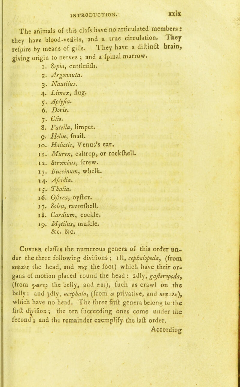 zxlx The animals of this chfs hnve no articulated members : they have blood-veflVls, and a true circulation. They refpirc by means of gills. They have a diftina brain, giving origin to nerves ; and a fpinal marrovir. 1. Sepia, cuttlefifh. 2. Argonauta. 3. Nautilus. 4. Limax, Aug. 5. Jp/)l/ia. 6. Doris. 7. C/ii. 8. Pate/la, limpet. 9. Helix, fnail. 10. Haliotisy Venus's car. 11. Murex, caltrop, or rockflicU. 12. Strombus, fcrew. 13. Buccinumy whelk. 14. Afcidia. 15. Thalia. 16. OJlrea, oyfter. 17. Solen, razorfhell. iS. Cardium, cockle. 19. Mytilusy mufcle. &c. &c. CuviER clafles the numerous genera of this order un« dsr the three following divifions ; i[t, cephalopoda^ (from xtfaxr) the head, and 7r«f the f6ot) which have their or- gans of motion placed round the head : 2dly, gajleropodoy (from ^«r)ip the btlly, and ttsj), fuch as craw) on the belly: and 3dly, acephala, (from a privative, and Ktp.M.), which have no head. The three firlt genera belong to the firft di^vifion; the ten fuccecding ones come under the fccond'; and the remainder exemplify thelaft order. According