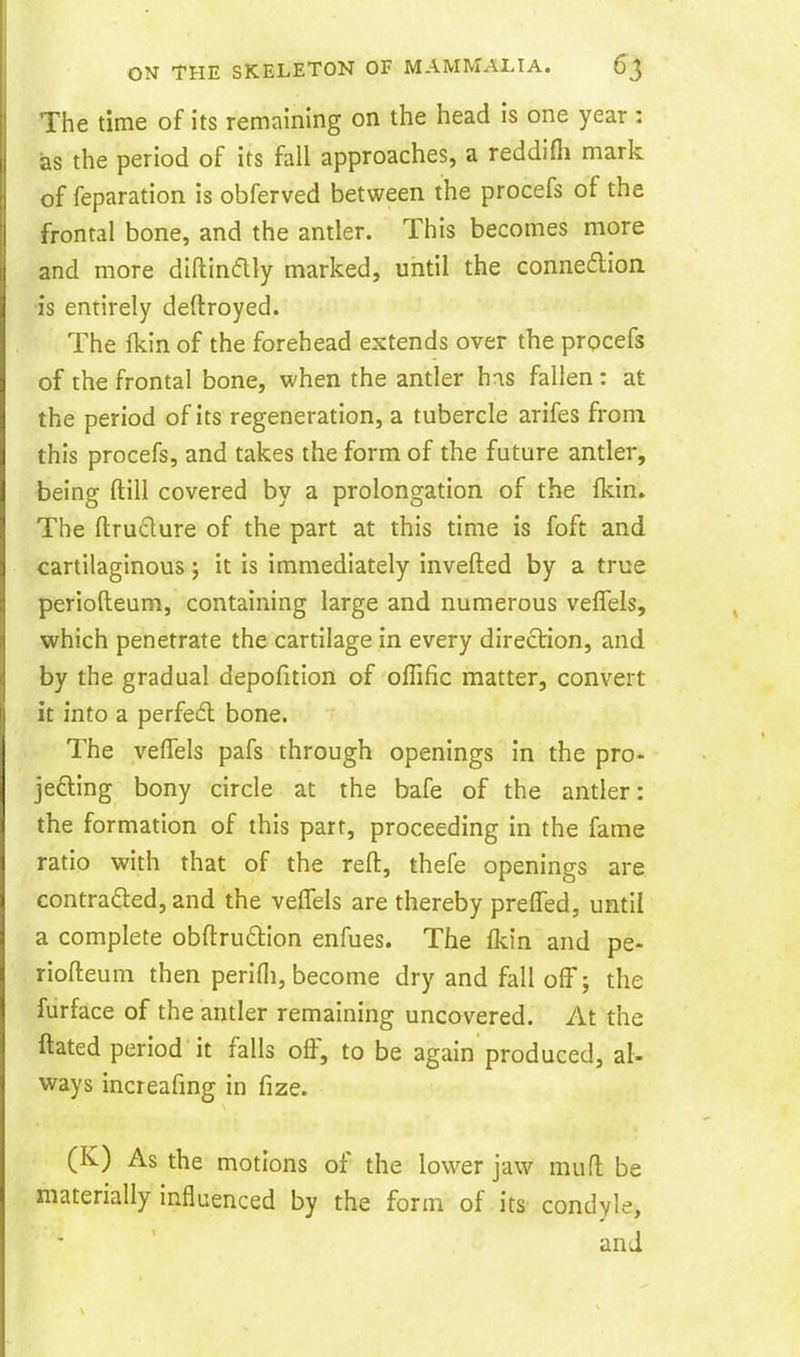The time of its remaining on the head is one year : as the period of its fall approaches, a reddifii mark of reparation is obferved between the procefs of the frontal bone, and the antler. This becomes more and more diftinflly marked, until the connexion •is entirely deftroyed. The Ikin of the forehead extends over the procefs of the frontal bone, when the antler has fallen : at the period of its regeneration, a tubercle arifes from this procefs, and takes the form of the future antler, being ftill covered by a prolongation of the fkin. The ftruclure of the part at this time is foft and cartilaginous; it is immediately inverted by a true periofteum, containing large and numerous veffels, which penetrate the cartilage in every direction, and by the gradual depofition of offific matter, convert it into a perfed bone. The veflels pafs through openings in the pro- jefting bony circle at the bafe of the antler: the formation of this part, proceeding in the fame ratio with that of the reft, thefe openings are contradled, and the veffels are thereby preffed, until a complete obftru£lion enfues. The fldn and pe- riofteum then perifli, become dry and fall off; the furface of the antler remaining uncovered. At the ftated period it falls off, to be again produced, al- ways increafmg in fize. (K) As the motions of the lower jaw muft be materially influenced by the form of its condyle, and