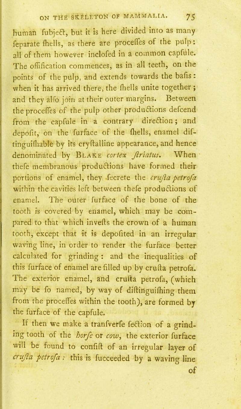 human fubjea:, but it is here divided into as many feparate fliells, as there are proceffes of the pulp: all of them however inclofed in a common capfule. The offification commences, as in all teeth, on the points of the pulp, and extends towards the bafis: when it has arrived there, the fhells unite together; and they alfo join at their outer margins. Between the proceffes of the pulp other produftions defcend from the capfule in a contrary dire£lion; and depofit, on the furface of the fliells, enamel dif- tinguifliable by its cryftalline appearance, and hence denominated by Blake cortex Jiriatus. When thefe membranous productions have formed their portions of enamel, they .fecrete the crujia petrofa within the cavities left between thefe produ6lions of enamel. The outer furface of the bone of the tooth is covered by enamel, which may be com- pared to that which inverts the crown of a human tooth, except that it is depofited in an irregular waving line, in order to render the furface better calculated for grinding: and the inequalities of this furface of enamel are filled up by crufta petrofa. The exterior enamel, and crufta petrofa, (which may be fo named, by way of diflinguifhing them from the proceffes within the tooth), are formed by the furface of the capfule. If then we make a tranfverfe feclion of a grind- ing tooth of the horfe or cow, the exterior furface will be found to confift of an irregular layer of criijla petrofa: this is fucceeded by a waving line of