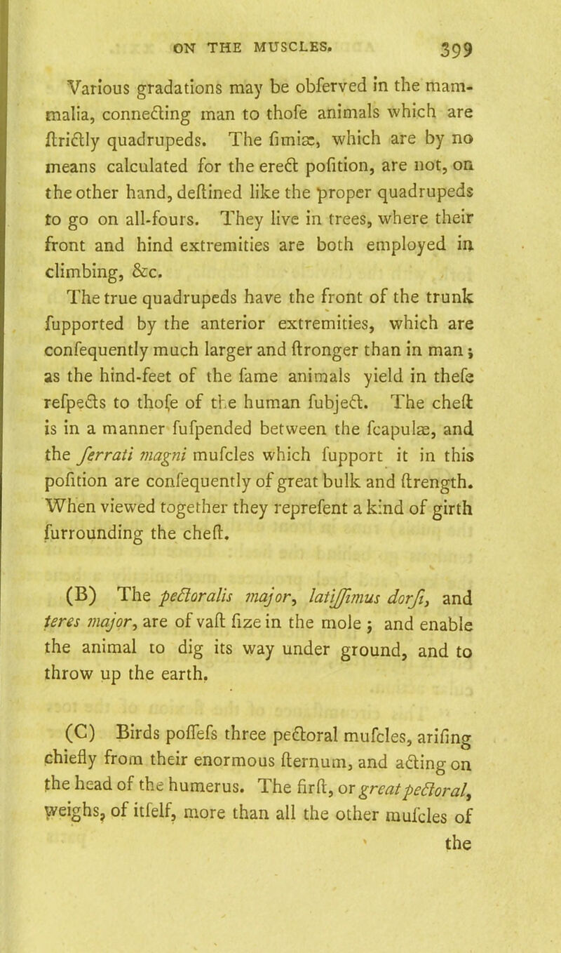 Various gradations may be obferved in the mam- malia, conneding man to thofe animals which are ftriflly quadrupeds. The fi which are by no means calculated for the ereft pofition, are not, on the other hand, deftined like the proper quadrupeds to go on all-fours. They live in trees, where their front and hind extremities are both employed in climbing, &c. The true quadrupeds have the front of the trunk fupported by the anterior extremities, which are confequently much larger and ftronger than in man; as the hind-feet of the fame animals yield in thefe refpeds to tho(e of the human fubjed. The cheft is in a manner fufpended between the fcapulse, and the ferrati magni mufcles which fupport it in this pofition are confequently of great bulk and ftrength. When viewed together they reprefent a kind of girth furrounding the chefl. (B) The pedoralis major^ latijfimus dorft, and teres major, are of vafl: fize in the mole j and enable the animal to dig its way under ground, and to throw up the earth. (C) Birds poflefs three peroral mufcles, arifing chiefly from their enormous fternum, and adlingon the head of the humerus. The fir ft, or great pe6loral^ Vveighs, of itfelf, more than all the other mufcles of the