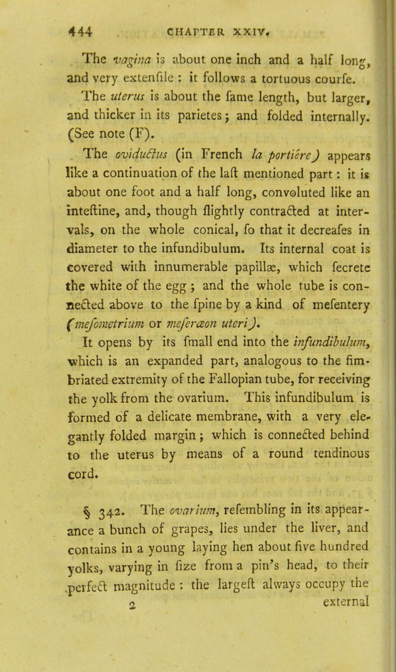 The njanna Is about one inch and a half Ion'', and very extenfile : it follows a tortuous courfe. The uterus is about the fame length, but larger, and thicker in its parietes j and folded internally. (See note (F). The ovidudus (in French la portiere) appears like a continuation of the laft mentioned part: it is about one foot and a half long, convoluted like an inteftine, and, though flightly contra6led at inter- vals, on the whole conical, fo that it decreafes in diameter to the infundibulum. Its internal coat is covered with innumerable papillae, which fecretc the white of the egg ; and the whole tube is con- Becled above to the fpine by a kind of mefentery (mefonietrium or meferaoji uteri J. It opens by its fmall end into the infundibulum, which is an expanded part, analogous to the fim- briated extremity of the Fallopian tube, for receiving the yolk from the ovarium. This infundibulum is formed of a delicate membrane, with a very ele- gantly folded margin; which is connected behind to the uterus by means of a round tendinous cord. § 342. The ovarium, refembling in its appear- ance a bunch of grapes, lies under the liver, and contains in a young laying hen about five hundred yolks, varying in fize from a pin's head, to their .perfect magnitude : the largeft always occupy the «2 external