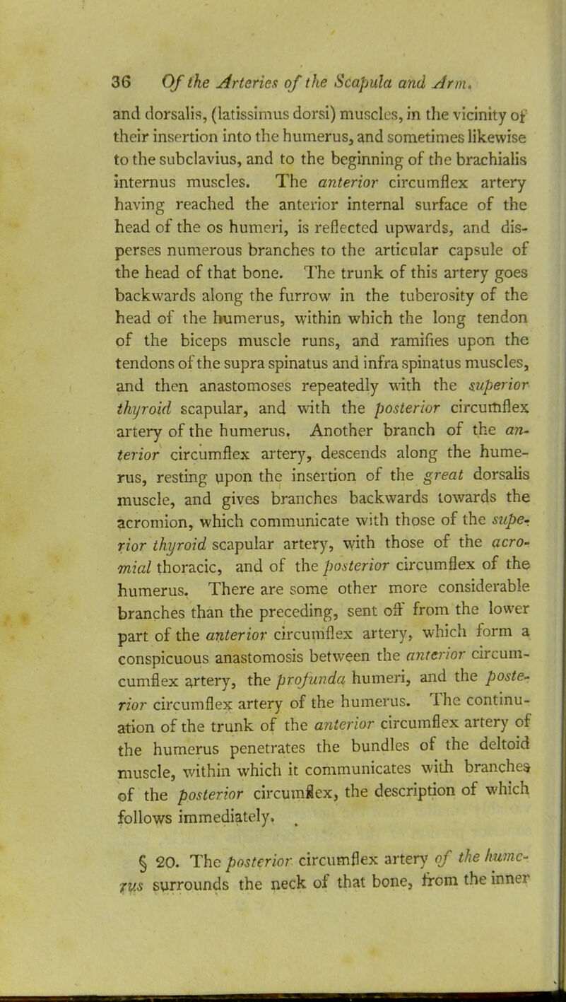 and dorsalis, (latissimus dorsi) muscles, in the vicinity of their insertion into the humerus, and sometimes likewise to the subclavius, and to the beginning of the brachialis internus muscles. The anterior circumflex artery having reached the anterior internal surface of the head of the os humeri, is reflected upwards, and dis- perses numerous branches to the articular capsule of the head of that bone. The trunk of this artery goes backwards along the furrow in the tuberosity of the head of the humerus, within which the long tendon of the biceps muscle runs, and ramifies upon the tendons of the supra spinatus and infra spinatus muscles, and then anastomoses repeatedly with the superior thyroid scapular, and with the posterior circumflex artery of the humerus. Another branch of the an- terior circumflex artery, descends along the hume- rus, resting upon the insertion of the great dorsalis muscle, and gives branches backwards towards the acromion, which communicate with those of the supe* rior thyroid scapular artery, with those of the acro- mial thoracic, and of the posterior circumflex of the humerus, There are some other more considerable branches than the preceding, sent off from the lower part of the anterior circumflex artery, which form a conspicuous anastomosis between the anterior circum- cumflex artery, the profunda humeri, and the poste- rior circumflex artery of the humerus. The continu- ation of the trunk of the anterior circumflex artery of the humerus penetrates the bundles of the deltoid muscle, within which it communicates with branches; of the posterior circumflex, the description of which follows immediately. § 20. The posterior circumflex artery of the hume- rus surrounds the neck of that bone, from the inner
