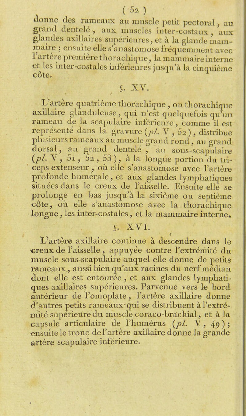 donne des rameaux au muscle petit pectoral, au grand dentelé , aux muscles inter-costaux , aux glandes axillaires supérieures, et à la glande mam- anaire ; ensuite elle s'anastomose fréquemment avec l'artère première tlioracliique, la mammaire interne étales inter-costales inférieures jusqu'à la cinquième côte. S. XV. L'artère quatrième tlioracliique , ou tlioracliique axillaire glanduleuse, qui n'est quelquefois qu'un rameau de la scapulaire inférieure, comme il est représenté dans la gravure {pL V , 62 ), distribue plusieurs rameaux au muscle grand rond, au grand dorsal, au grand^ dentelé , au sous-scapulaire (pl. V , 5i, 62 , 53 ) , à la longue portion du tri- ceps extenseur, où elle s'anastomose avec l'artère profonde liumérale, et aux glandes lymphatiques situées dans le creux de l'aisselle. Ensuite elle se prolonge en bas jusqu'à la sixième ou septième côte, où elle s'anastomose avec la thoracliique longue, les inter-costales, et la mammaire interne. S. XVI. L'artère axillaire continue à descendre dans le •creux de l'aisselle , appuyée contre l'extrémité du muscle sous-scapulaire auquel elle donne de petits rameaux, aussi bien (Qu'aux racines du nerf médian clont elle est entourée , et aux glandes lymphati- ques axillaires supérieures. Parvenue vers le bord antérieur de l'omoplate, l'artère axillaire donne d'autres petits rameaux'qui se distribuent à l'extré- mité supérieure du muscle coraco-brachial, et à la capsule articulaire de l'humérus (pl. V, 49 ) > ensuite le tronc de l'artère axillaire donne la grande artère scapulaire inférieure.