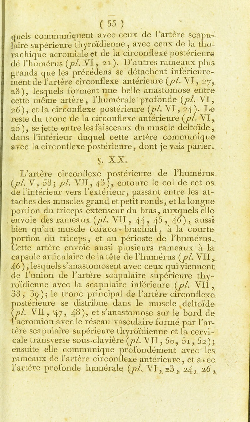 quels commiiinqtTent avec ceux de Tartère scapu- laire supérieiire tliyroïdienne, avec ceux de la tlio- rachique acroiniale et de la circonflexe postérieur© de rimmérus (/?/. VI, 21 ). D'autres rameaux plus grands que les précédens se détachent inlérieure- nient de l'artère circonflexe antérieure (/7/. VI, 27, 2.8), lesquels forment une belle anastomose entre cette même artère, l'iiumérale profonde (/?/. VI, 26), et la circonflexe postérieure {pl. VI, 24)- Le reste du tronc de la circonflexe antérieure {pl. VI^ 26 ), se jette entre les faisceaux du muscle deltoïde, dans l'intérieur duquel cette artère communique s.vec la circonflexe postérieure, dont je vais parler. S. XX.. L'artère circonflexe postérieure de l'Iiumérus- {pl. V, BU y pl. VII, 4^), entoure le col de cet os. de l'intérieur vers l'extérieur, passant entre les at- taches des muscles grand et j)etit ronds, et la longue portion du triceps extenseur du bras, auxquels elle envoie des rameaux {pl. VII, 44 > 4^ ? 4^ ) s aussi bien qu'au muscle coraco - brachial, à la courte portion du trice]>s, et au périoste de l'humérus.. Cette artère envoie aussi plusieurs rameaux à la capsule articulaire de la tête de l'humérus {pl. VII ^ 46 ), lesquels s'anastomosent avec ceux qui viennent de l'union de l'artère scapulaire supérieure thy- roïdienne avec la scapulaire inférieure {pl. VII, 38, 09 ) j le tronc principal de l'artère circonflexe postérieure se distribue dans le muscle .deltoïde {jjI. VII, 47? 4^)) et s'anastomose sur le bord de 1 acromion avec le réseau vasculaire formé par l'ar- tère scapulaire supérieure thyroïdienne et la cervi- cale transverse sous-clavière {pl. VII, 5o, 5i, 62); ensuite elle communique profondément avec les rameaux de l'artère circonflexe antérieure, et avec Tg-rtère profonde humérale {pl.. VI, «3 24, 26 ^