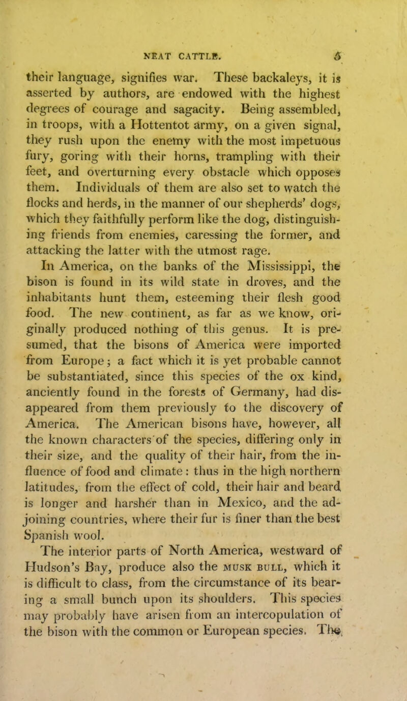 their language, signifies war. These backaleys, it is asserted by authors, are endowed with the highest degrees of courage and sagacity. Being assembled, in troops, with a Hottentot army, on a given signal, they rush upon the enemy with the most impetuous fury, goring with their horns, trampling with their feet, and overturning every obstacle which opposes them. Individuals of them are also set to watch the flocks and herds, in the manner of our shepherds' dogs, which they faithfully perform like the dog, distinguish- ing friends from enemies, caressing the former, and attacking the latter with the utmost rage. In America, on the banks of the Mississippi, the bison is found in its wild state in droves, and the inhabitants hunt them, esteeming their flesh good food. The new continent, as far as we know, ori- ginally produced nothing of this genus. It is pre- sumed, that the bisons of America were imported from Europe; a fact which it is yet probable cannot be substantiated, since this species of the ox kind, anciently found in the forests of Germany, had dis- appeared from them previously to the discovery of America. The American bisons have, however, all the known characters of the species, differing only in their size, and the quality of their hair, from the in- fluence of food and climate : thus in the high northern latitudes, from the effect of cold, their hair and beard is longer and harsher than in Mexico, and the ad- joining countries, where their fur is finer than the best Spanish wool. The interior parts of North America, westward of Hudson's Bay, produce also the musk bull, which it is difficult to class, from the circumstance of its bear- ing a small bunch upon its shoulders. This species may probably have arisen from an intercopulation of the bison with the common or European species. The,