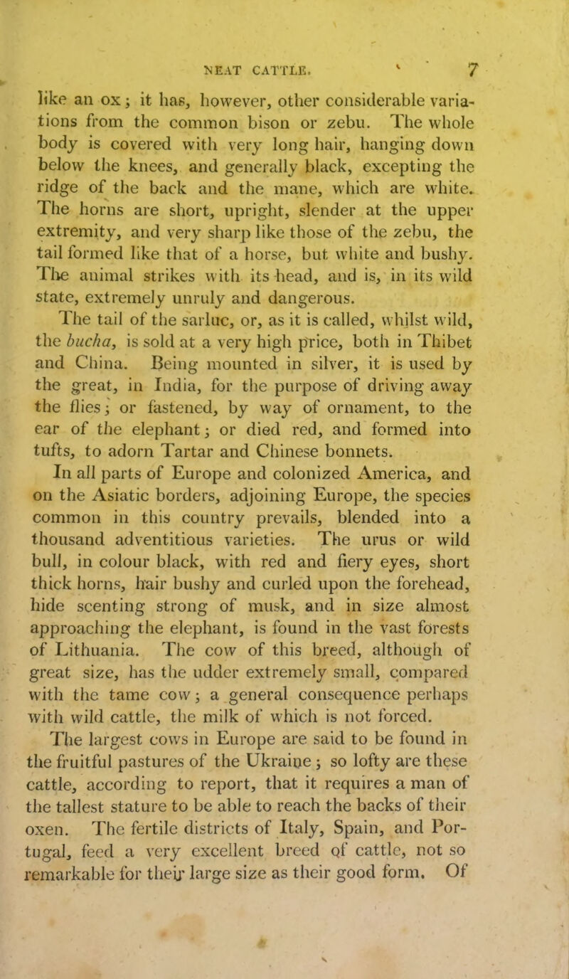 like an ox •> it has, however, other considerable varia- tions from the common bison or zebu. The whole body is covered with very long hair, hanging down below the knees, and generally black, excepting the ridge of the back and the mane, which are white. The horns are short, upright, slender at the upper extremity, and very sharp like those of the zebu, the tail formed like that of a horse, but white and bushy. The animal strikes with its head, and is, in its wild state, extremely unruly and dangerous. The tail of the sarluc, or, as it is called, whilst wild, the bucket, is sold at a very high price, both in Thibet and China. Being mounted in silver, it is used by the great, in India, for the purpose of driving away the flies; or fastened, by way of ornament, to the ear of the elephant -} or died red, and formed into tufts, to adorn Tartar and Chinese bonnets. In all parts of Europe and colonized America, and on the Asiatic borders, adjoining Europe, the species common in this country prevails, blended into a thousand adventitious varieties. The urus or wild bull, in colour black, with red and fiery eyes, short thick horns, hair bushy and curled upon the forehead, hide scenting strong of musk, and in size almost approaching the elephant, is found in the vast forests of Lithuania. The cow of this breed, although of great size, has the udder extremely small, compared with the tame cow; a general consequence perhaps with wild cattle, the milk of which is not forced. The largest cows in Europe are said to be found in the fruitful pastures of the Ukraine; so lofty are these cattle, according to report, that it requires a man of the tallest stature to be able to reach the backs of their oxen. The fertile districts of Italy, Spain, and Por- tugal, feed a very excellent breed of cattle, not so remarkable for their large size as their good form. Of s