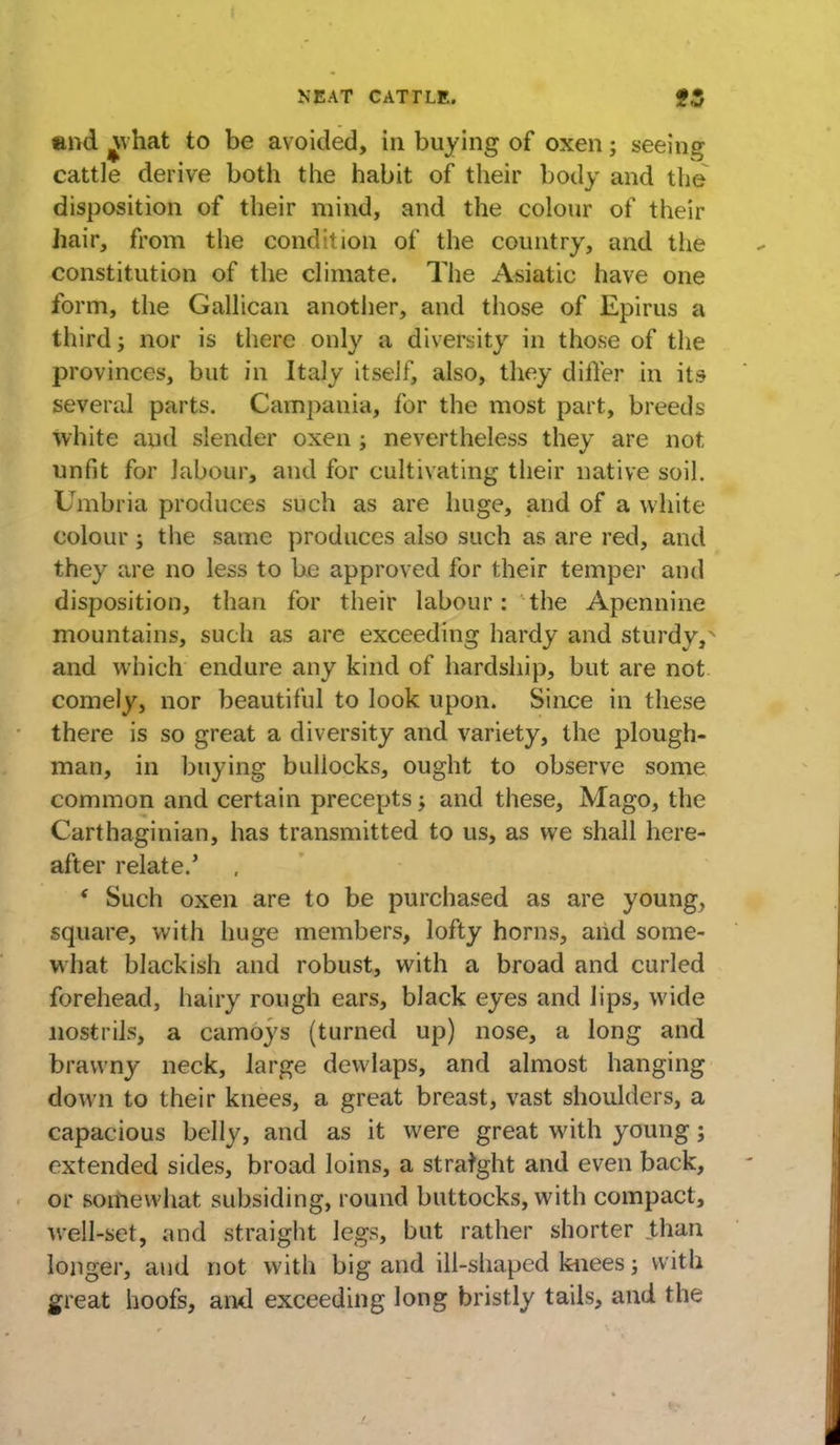 and ^vhat to be avoided, in buying of oxen; seeing cattle derive both the habit of their body and the disposition of their mind, and the colour of their hair, from the condition of the country, and the constitution of the climate. The Asiatic have one form, the Gallican another, and those of Epirus a third; nor is there only a diversity in those of the provinces, but in Italy itself, also, they diller in its several parts. Campania, for the most part, breeds white and slender oxen; nevertheless they are not unfit for labour, and for cultivating their native soil. Umbria produces such as are huge, and of a white colour; the same produces also such as are red, and they are no less to be approved for their temper and disposition, than for their labour: the Apennine mountains, such as are exceeding hardy and sturdy,N and which endure any kind of hardship, but are not comely, nor beautiful to look upon. Since in these there is so great a diversity and variety, the plough- man, in buying bullocks, ought to observe some common and certain precepts $ and these, Mago, the Carthaginian, has transmitted to us, as we shall here- after relate.' * Such oxen are to be purchased as are young, square, with huge members, lofty horns, aiid some- what blackish and robust, with a broad and curled forehead, hairy rough ears, black eyes and lips, wide nostrils, a camoys (turned up) nose, a long and brawny neck, large dewlaps, and almost hanging down to their knees, a great breast, vast shoulders, a capacious belly, and as it were great with young; extended sides, broad loins, a straight and even back, or somewhat subsiding, round buttocks, with compact, well-set, and straight legs, but rather shorter than longer, and not with big and ill-shaped knees; with great hoofs, and exceeding long bristly tails, and the