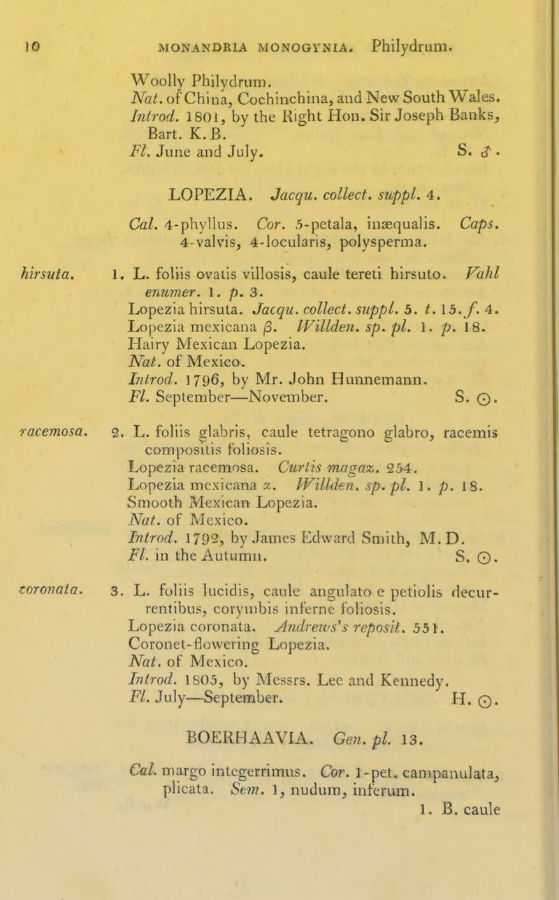 10 AIONANDRIA MONOGYNIA. PhilydrUlTl. Woolly Philydrum. Nat. of China, Cochinchina, and New South Wales. Inlrod. 1801, by the Right Hon. Sir Joseph Banks, Bart. K.B. Fl. June and July. S. ^ . LOPEZIA. Jacqu. collect, suppl. 4. Cal. 4-phyllus. Cor. 5-petala, inaequalis. Caps. 4-valvis, 4-locularis, polysperma. hirsuta. 1, L. foliis ovaiis villosis, caule tereti hirsute. Vahl enumer. 1. p. 3. Lopezia hirsuta. Jacqu. collect, suppl. 5. 1.15. J. 4. Lopezia mexicana (3. IVillden. sp. pi. 1. p. 18. Hairy Mexican Lopezia. Nat. of Mexico. Introd. 1796, by Mr. John Hunnemann, Fl. September—November. S. Q. ■racemosa. 2. L. foliis glabris, caule tetragono glabro, racemis compositis foliosis. Lopezia racemosa. Curtis magaz. 254. Lopezia mexicana 2. IVillden. sp.pl. 1. p. 18. Smooth Mexican Lopezia. Nat. of Mexico. Introd. 1792, by James Edward Smith, M.D. Fl. in the Autumn. S. ©. coronata. 3. L. foliis lucidis, caule angulato e petiolis decur- rentibus, corymbis inferne foliosis. Lopezia coronata. A7idreius's reposit. 551. Coronet-flowering Lopezia. Nat. of Mexico. Introd. 1S05, by Messrs. Lee and Kennedy. Fl. July—September. H. ©. BOERHAAVIA. Gen.pl 13. Cal. margo intcgerrimus. Cor. 1 -pet. campaaulata, plicata. Sem. 1, nudum, inferuin.