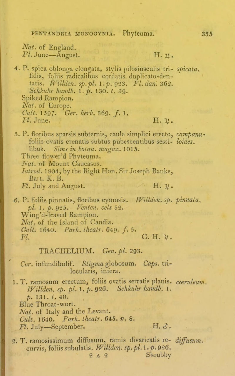 Nat. of England. Fl. June—August. H. if. 4. P. spica oblonga elongata, stylis pllosiusculis tri- spicata. fidis, f'oliis radicalibus cordatis duplicato-dcn- tatis. fVillden. sp.pl. I.p. 023. FLdan. 362. Schknhr handb. 1, p. 130. t. 39. Spiked Rainpion. Nat. of Europe. Cult. 1597. G6'r. herb. 369. /. 1. P/. June. H. 11, 5. P. floribus sparsis subternis, caule simplici erecto, campanu' foliis ovatis crenatis sublus pubesceniibus sessi- loides. libus. Simi hi lotan. magaz. 1013. Three-flower'd Phvteuma. J\'at. of Mount Caucasus. Introd. 1804, by the Right Hon. Sir Joseph Banks, Bart. K. B. Fl. July and August. H. 1/. 6. P. foliis pinnatis, floribus cymosis. IVillden. sp. pinnata. pi. 1. p. 025. Ve?iten. eels 52. Wing'd-leavcd Ranipion. Nat. of the Island of Candia. Cult. 1(340. Park, theatr. 649. /. 5. Fl. * G. H. 1/. TRACHELIUM. Gen. p/. 293. Cor. infundibulif. S/i^wa globosum. Caps.\v\' locularis, infera. 1. T. ramosum erectum, foliis ovatis serratis planis. cceruleujn. IViUden. sp. pi. 1. p. 926. Schknhr handb. 1. p. 131. t. 40. Blue Throat-wort. Nat. of Italy and the Levant. Cult. 1640. Park, theatr. 645. n. 8. K. July—September. H. S. 2. T. ramosissimum diffusum, ramis divaricatis re- diffumm, cmv'is, foliissubulatis. IVillden. sp.pl.\,p.9^6. 2 A 2 Shrubby