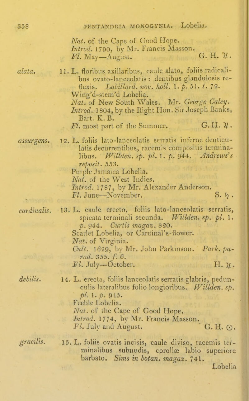 alata. assurgens. cardinalis. delilis. gracilis. PKNTANDRIA MONOGVNiA. Lobelia. Nat. of the Cape of Good [lope. Introd. 1790, by Mr. Francis Masson. Introd. 1790, by Mr. Fl. May—August. G. H. % 11. L. floribus axillaribus, caule alalo, foliis radicall- biis ovato-lanceolatis: denlibus glandulosis re- flexis. Lahillard. nov. lioLl. 1. p. 51. /. 72. Wing'd-stem'd Lobelia. Nat. of New South Wales. Mr. George Culey. Introd. 1804, by the Right Hon. Sir Joseph Banks, Bart. K. B. Fl. most part of the Summer, G. H. If.. 12. L. foliis lato-lanceolatis serratls inferne denticii- latis decurrentibus, racemis compositis terniina- libus. Willden. sp. pi. 1. p. 944, Andrews's reposlt. 553. Purple Jamaica Lobelia. Nat. of the West Indies. Introd. 1767, bv Mr. Alexander Anderson. Fl. June—November. S. Tj . 13. L. caule erecto, foliis lato-lanceolatis serratis, spicata terminali secunda. JVUlden. sp. pi. 1. p. 944. Curtis magaz. 320. Scarlet Lobelia, or Carcinal's-flower. Nat. of Virginia. Cull. 1629, by Mr. John Parkinson. Park, pa- rad. 35b. f. Q. Fl. July—October. H. %. 14. L. erecta, foliis lanceolatis serratis glabrls, pedun- culis lateralibus folio longioribus. IVillden. sp. pi. 1. p. Q\o. Feeble Lobt-lia. Nat. of the Cape of Good Hope. Introd. 1774, by Mr. Francis Masson. Fl. July and August. G. H. ©. 15. L. foliis ovatis incisis, caule diviso, racemis ter- minalibus subnudis, corollas labio superiorc barbate. Sims in hotan, magaz. 741. Lobelia
